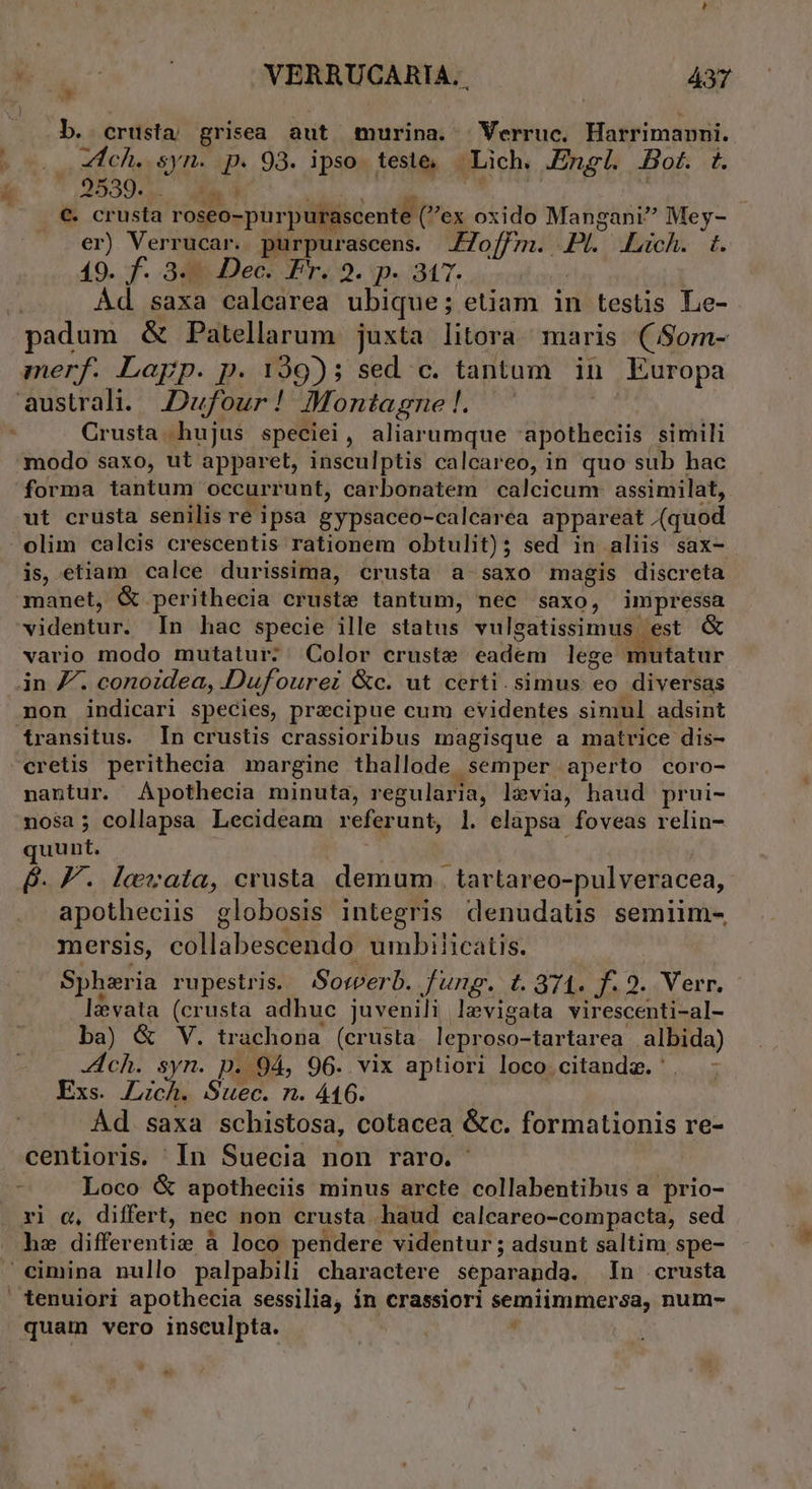 b. crusta grisea aut murina. | Verruc. Harrimanni. 2o ox EÉGÀ, syn. p. 93. ipso. teste, Lich. Engl. Bot. (s * &amp; cr ista roseo-purpur idisccóditra, oxido Mangani Mey- er) Verrucar. purpurascens. 4Z7off;m. PL. Lich. t. 19. f. 34 Dec: Fr. 2. p. 347. Ád saxa calearea ubique; etiam in testis Le- | padum &amp; Patellarum. juxta litora. maris (Sorn- merf. Lapp. p. 199); sed c. tantam in Europa australi. Dufour! Montagne l. Crusta hujus speciei, aliarumque apotuési simili modo saxo, ut apparet, insculptis calcareo, in quo sub hac forma tantum occurrunt, carbonatem calcicum: assimilat, ut crusta senilis re ipsa eypsacéo-caleüréa appar eat (quod olim calcis crescentis rationem obtulit); sed in aliis sax- is, etiam calce durissima, crusta a saxo magis discreta manet, &amp; perithecia cruste tantum, nec saxo, impressa videntur. In hac specie ille status vulgatissimus est vario modo mutatur: / Color cruste Lu lege mutatur àn Z. conoidea, IDufourei &amp;c. ut certi. simus eo diveitus non indicari species, praecipue cum evidentes simul adsint transitus. In crustis crassioribus magisque a matrice dis- cretis perithecia margine thallode semper aperto coro- nantur. Apothecia minuta, regularia, levia, haud prui- mosa ; collapsa Lecideam referunt, l. elapsa foveas relin- quunt. B. V. levata, crusta demum | tartareo-pulveracea, apotheciis globosis integris denudatis semiim- mersis, cdHahesdiqd umbiticatis. Spharia rupestris. Sorverb. fung. t. 374. f. 2. Verr. levata (crusta adhuc juvenili levigata virescenti-al- ba) &amp; V. trachona (crusta leproso-tartarea albida) Ach. syn. p. 94, 96. vix aptiori loco citande. . - Exs. Zch. Suec. n. 416. Ad saxa scbistosa, cotacea &amp;c. formationis re- centioris. In Suecia non raro. : Loco &amp; apotheciis minus arcte collabentibus a prio- ri c, differt, nec non crusta haud calcareo-compacta, sed he differentice à loco pendere videntur ; adsunt saltim, spe- ^ cimina nullo palpabili charactere separanda.. In crusta tenuiori apothecia sessilia, in crassiori semiimmersa, num- quam vero insculpta. | | M