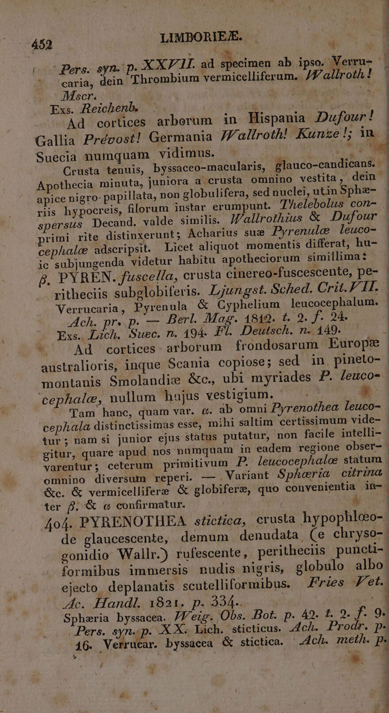 (7 Bers. syn. p. XXV. 11. ad specimen ab ipso. Verru- ' 'earia, dein 'Thrombium vermicelliferum. : /7 allroth ! Mscr. : | | Exs. Aeichenb. m Tyfwi c^ Ad cortices arborum in Hispania Dufour! Gallia Prévost! Germania JZalíroth! Kunze!; im | Suecia numquam vidimus. E  Crusta tenuis, byssaceo-macularis, glauco-candicans. Apothecia minuta, juniora a crusta omnino vestita, dein ; apice nigro- papillata, non globulifera, sed nuclei, utin Sphze- riis hypocreis, filorum instar erumpunt. TAelebolus con- . spersus Decand. valde similis. JZallrozhius &amp; Dufour primi rite distinxerunt; Ácharius suc Pyrenulc leuco- cephalae adscripsit. Licet aliquot momentis differat, hu- ic subjungenda videtur habitu apotheciorum simillima: gp. PYREN. fuscella, crusta cinereo-fuscescente, pe- ritheciis subglobiferis. Ljungst. Sched. Crit. F IH. | Verrucaria, Pyrenula &amp; Cyphelium leucocephalum. : Ach. pr». p. — Berl. Mag. 1812. t. 9. f. 24. - Xxs. Züch. Suec. n. 194 Pl. Deutsch. n. 149. - ^ Ad cortices arborum frondosarum Europee australioris, inque Scania copiose; sed in pineto- montanis Smolandie &amp;c., ubi myriades P. /Jeuco- cephale, nullum hajus vestigium. —— - N » Tam hanc, quam var. o. ab omni Pyrenothea. leuco- cephala distinctissimas esse, mihi saltim certissimum vide- tur; nam si junior ejus status putatur, non facile intelli- gitur, quare apud nos numquam in eadem regione obser- varentur; ceterum primitivum BP. leucocephaloe statum - omnino diversum reperi. — . Variant Spheria. citrina &amp;c. &amp; vermicellifere &amp; globifere, quo convenientia de- ter f. &amp; c confirmatur. ! Á | 4o4. PYRENOTHEA sticica, crusta hypophlceo- de glaucescente, demum denudata, (e chryso-. gonidio Wallr.) rufescente, peritheciis puncti-. formibus immersis nudis nigris, globulo albo ejecto. deplanatis scutelliformibus. rzes et. Ac. Handl. 1821. p. 394. S Sphzria byssacea. 77/eig. Obs. Bot. p. 42. t. 2. f. 9. Pers. syn. p. X X. Lich. sticticus. J4c/. Prodr. p- 16. Verrucar. byssacea &amp; stictica. Ach. meth. P. ; 7