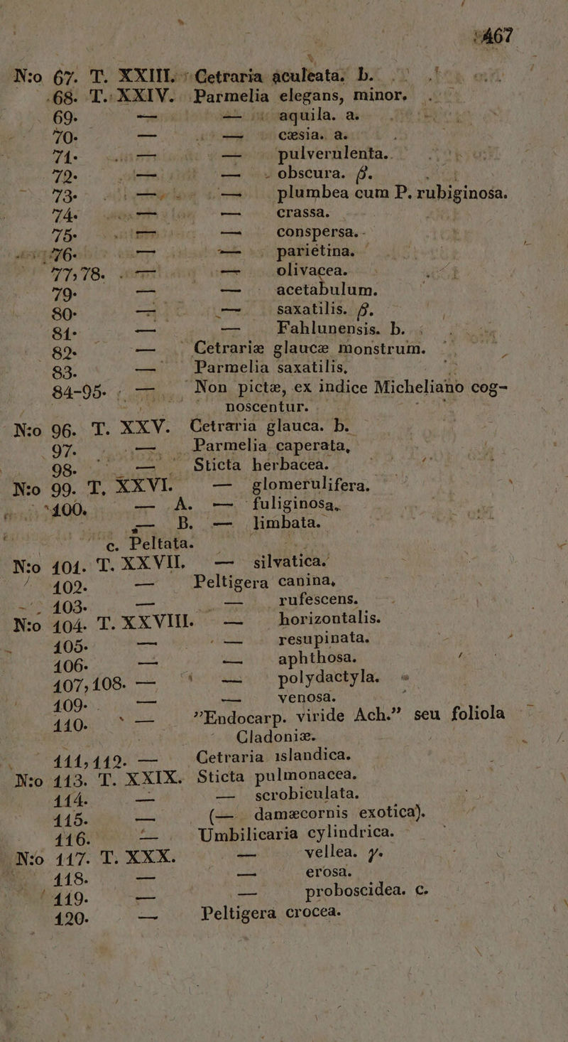 IN: o 67. T. XXIII. * Cetraria dsufstó hr ul .68. T. XXIV. Parmelia elegans, minor, . 69. — —04 aquila. a. n 70- wi /-— o0 eSia. &amp;. | 71- — — pulvernlenta. - S — — . obscura. (6 | : —. joe lumbea cum 7á- xvi — di j ribiginos. 7B5- m —Á2 ^ conspersa.. v176- inv — . parietina. | JT,T8. s — — .. olivacea. 79- 2A — exor cM 80- — — saxatilis. 81- — — Fahlunensis. b. 829. osse: i Cetrariz glauca monstrum. 83. EIC Parmelia CLE. : 84-05- |... Non picte, ex indice Micheliano cog- ; EN noscentur. -N:o 96. T. XXV. Cetraria glauca. b. Nord nU. Parmelia caperata, Y 98. | — . Sticta herbacea. N: 99. T, XXVI. | — glomerulifera.- MN 2031000 — A — fuliginosa, ur S—- B — limbata. : c Peltata. N:o 404. T. XXVII. — sisdtità? 102. — Peltigera canina, -'; 103- 2 2. — .,rufescens. N:o 404. T. XXVHI. — horizontalis. ^ 1095- — ea resupinata. 106. — PE aphthosa. / SOC. TOR noe PESE polydactyla. 109- . KS venosa. Adr qne ool Ee viride Ach. seu foliola d : j Cladonizx. | | 111, 119. Cetraria. 1slandica. N:o 113. T. XXIX. Sticta pulinonacea. 114. — — . scrobieulata. 115. — . (— damecornis exotica). - . 116. — Umbilicaria cylindrica. (N:o 117. T. XXX. — vellea. y. m 118. S rupe erosa. / 419. ies T proboscidea. c. 120. — Peltigera crocea.