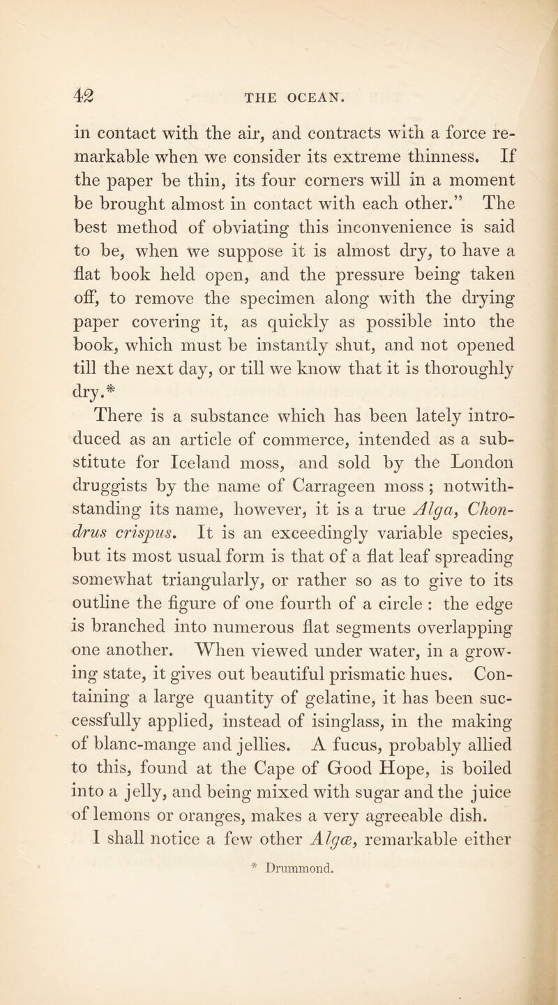 in contact with the air, and contracts with a force re- markable when we consider its extreme thinness. If the paper he thin, its four corners will in a moment be brought almost in contact with each other.” The best method of obviating this inconvenience is said to be, when we suppose it is almost dry, to have a flat book held open, and the pressure being taken off, to remove the specimen along with the drying paper covering it, as quickly as possible into the book, which must be instantly shut, and not opened till the next day, or till we know that it is thoroughly dry.* There is a substance which has been lately intro- duced as an article of commerce, intended as a sub- stitute for Iceland moss, and sold by the London druggists by the name of Carrageen moss ; notwith- standing its name, however, it is a true Alga, Chon- drus crispus. It is an exceedingly variable species, but its most usual form is that of a flat leaf spreading somewhat triangularly, or rather so as to give to its outline the figure of one fourth of a circle : the edge is branched into numerous flat segments overlapping one another. When viewed under water, in a grow- ing state, it gives out beautiful prismatic hues. Con- taining a large quantity of gelatine, it has been suc- cessfully applied, instead of isinglass, in the making of blanc-mange and jellies. A fucus, probably allied to this, found at the Cape of Good Hope, is boiled into a jelly, and being mixed with sugar and the juice of lemons or oranges, makes a very agreeable dish. I shall notice a few other Algae, remarkable either * Drummond.