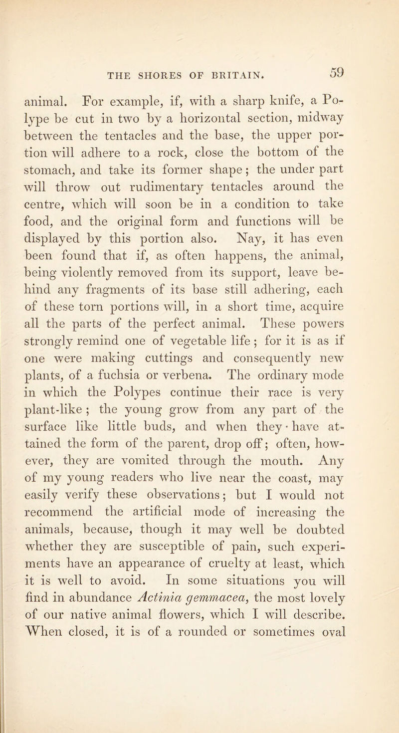 animal. For example, if, with a sharp knife, a Po- lype be cut in two by a horizontal section, midway between the tentacles and the base, the upper por- tion will adhere to a rock, close the bottom of the stomach, and take its former shape; the under part will throw out rudimentary tentacles around the centre, which will soon he in a condition to take food, and the original form and functions will be displayed by this portion also. Nay, it has even been found that if, as often happens, the animal, being violently removed from its support, leave be- hind any fragments of its base still adhering, each of these torn portions will, in a short time, acquire all the parts of the perfect animal. These powers strongly remind one of vegetable life ; for it is as if one were making cuttings and consequently new plants, of a fuchsia or verbena. The ordinary mode in which the Polypes continue their race is very plant-like ; the young grow from any part of the surface like little buds, and when they • have at- tained the form of the parent, drop off; often, how- ever, they are vomited through the mouth. Any of my young readers who live near the coast, may easily verify these observations; but I would not recommend the artificial mode of increasing the animals, because, though it may well be doubted whether they are susceptible of pain, such experi- ments have an appearance of cruelty at least, which it is well to avoid. In some situations you will find in abundance Actinia gemmacea, the most lovely of our native animal flowers, which I will describe. When closed, it is of a rounded or sometimes oval