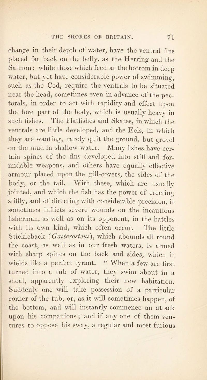 change in their depth of water, have the ventral hns placed far hack on the belly, as the Herring and the Salmon ; while those which feed at the bottom in deep water, but yet have considerable power of swimming, such as the Cod, require the ventrals to be situated near the head, sometimes even in advance of the pec- torals, in order to act with rapidity and effect upon the fore part of the body, which is usually heavy in such fishes. The Flatfishes and Skates, in which the ventrals are little developed, and the Eels, in which they are wanting, rarely quit the ground, but grovel on the mud in shallow water. Many fishes have cer- tain spines of the fins developed into stiff and for- midable weapons, and others have equally effective armour placed upon the gill-covers, the sides of the body, or the tail. With these, wdiich are usually jointed, and which the fish has the power of erecting stiffly, and of directing with considerable precision, it sometimes inflicts severe wounds on the incautious fisherman, as well as on its opponent, in the battles with its own kind, which often occur. The little Stickleback (Gasterosteus), which abounds all round the coast, as well as in our fresh waters, is armed with sharp spines on the back and sides, which it wields like a perfect tyrant. “ When a few are first turned into a tub of water, they swim about in a shoal, apparently exploring their new habitation. Suddenly one will take possession of a particular corner of the tub, or, as it will sometimes happen, of the bottom, and will instantly commence an attack upon his companions ; and if any one of them ven- tures to oppose his sway, a regular and most furious