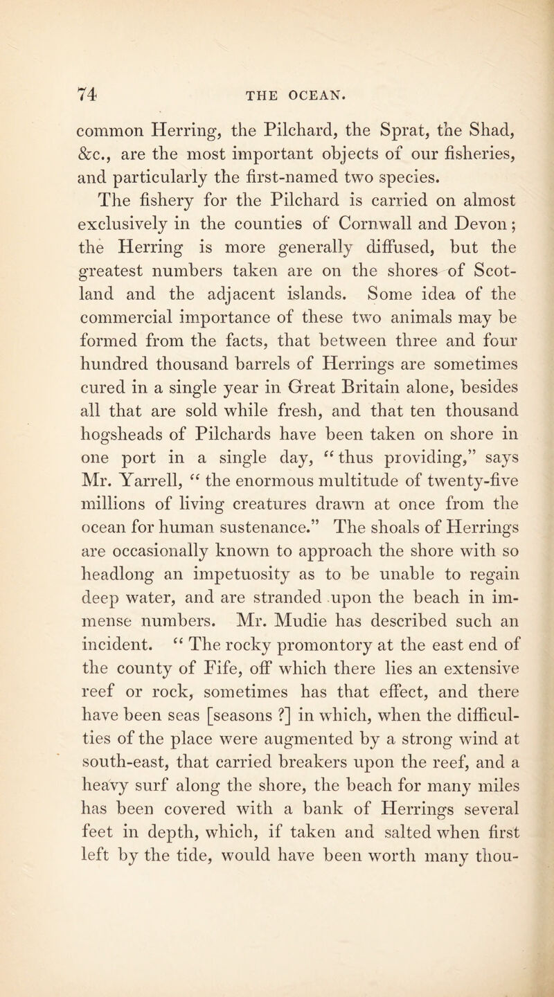 common Herring, the Pilchard, the Sprat, the Shad, &c., are the most important objects of our fisheries, and particularly the first-named two species. The fishery for the Pilchard is carried on almost exclusively in the counties of Cornwall and Devon; the Herring is more generally diffused, but the greatest numbers taken are on the shores of Scot- land and the adjacent islands. Some idea of the commercial importance of these two animals may be formed from the facts, that between three and four hundred thousand barrels of Herrings are sometimes cured in a single year in Great Britain alone, besides all that are sold while fresh, and that ten thousand hogsheads of Pilchards have been taken on shore in one port in a single day, “ thus providing/’ says Mr. Yarrell, <e the enormous multitude of twenty-five millions of living creatures drawn at once from the ocean for human sustenance.” The shoals of Herrings are occasionally known to approach the shore with so headlong an impetuosity as to be unable to regain deep water, and are stranded upon the beach in im- mense numbers. Mr. Mudie has described such an incident. “ The rocky promontory at the east end of the county of Fife, off which there lies an extensive reef or rock, sometimes has that effect, and there have been seas [seasons ?] in which, when the difficul- ties of the place were augmented by a strong wind at south-east, that carried breakers upon the reef, and a heavy surf along the shore, the beach for many miles has been covered with a bank of Herrings several feet in depth, which, if taken and salted when first left by the tide, would have been worth many thou-