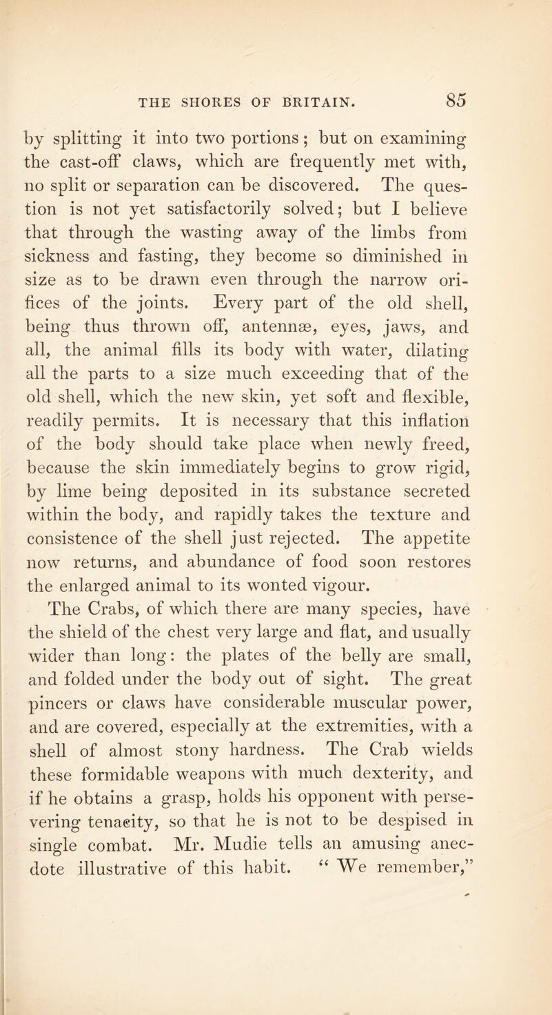 by splitting it into two portions ; but on examining the cast-off claws, which are frequently met with, no split or separation can be discovered. The ques- tion is not yet satisfactorily solved; but I believe that through the wasting away of the limbs from sickness and fasting, they become so diminished in size as to be drawn even through the narrow ori- fices of the joints. Every part of the old shell, being thus thrown off, antennae, eyes, jaws, and all, the animal fills its body with water, dilating all the parts to a size much exceeding that of the old shell, which the new skin, yet soft and flexible, readily permits. It is necessary that this inflation of the body should take place when newly freed, because the skin immediately begins to grow rigid, by lime being deposited in its substance secreted within the body, and rapidly takes the texture and consistence of the shell just rejected. The appetite now returns, and abundance of food soon restores the enlarged animal to its wonted vigour. The Crabs, of which there are many species, have the shield of the chest very large and flat, and usually wider than long: the plates of the belly are small, and folded under the body out of sight. The great pincers or claws have considerable muscular power, and are covered, especially at the extremities, with a shell of almost stony hardness. The Crab wields these formidable weapons with much dexterity, and if he obtains a grasp, holds his opponent with perse- vering tenacity, so that he is not to be despised in single combat. Mr. Mudie tells an amusing anec- dote illustrative of this habit. “ We remember,”