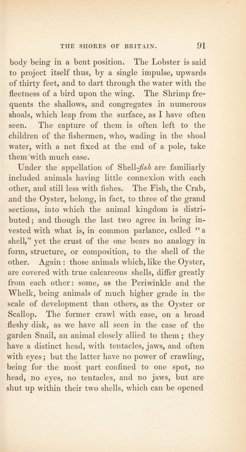 body being in a bent position. The Lobster is said to project itself thus, by a single impulse, upwards of thirty feet, and to dart through the water with the fleetness of a bird upon the wing. The Shrimp fre- quents the shallows, and congregates in numerous shoals, which leap from the surface, as I have often seen. The capture of them is often left to the children of the fishermen, who, wading in the shoal water, with a net fixed at the end of a pole, take them ‘with much ease. Under the appellation of ShelL/zsA are familiarly included animals having little connexion with each other, and still less with fishes. The Fish, the Crab, and the Oyster, belong, in fact, to three of the grand sections, into which the animal kingdom is distri- buted ; and though the last two agree in being in- vested with what is, in common parlance, called “ a shell,” yet the crust of the one bears no analogy in form, structure, or composition, to the shell of the other. Again : those animals which, like the Oyster, are covered with true calcareous shells, differ greatly from each other: some, as the Periwinkle and the Whelk, being animals of much higher grade in the scale of development than others, as the Oyster or Scallop. The former crawl with ease, on a broad fleshy disk, as we have all seen in the case of the garden Snail, an animal closely allied to them ; they have a distinct head, with tentacles, jaws, and often with eyes; but the latter have no power of crawling, being for the most part confined to one spot, no head, no eyes, no tentacles, and no jaws, but are shut up within their two shells, which can be opened