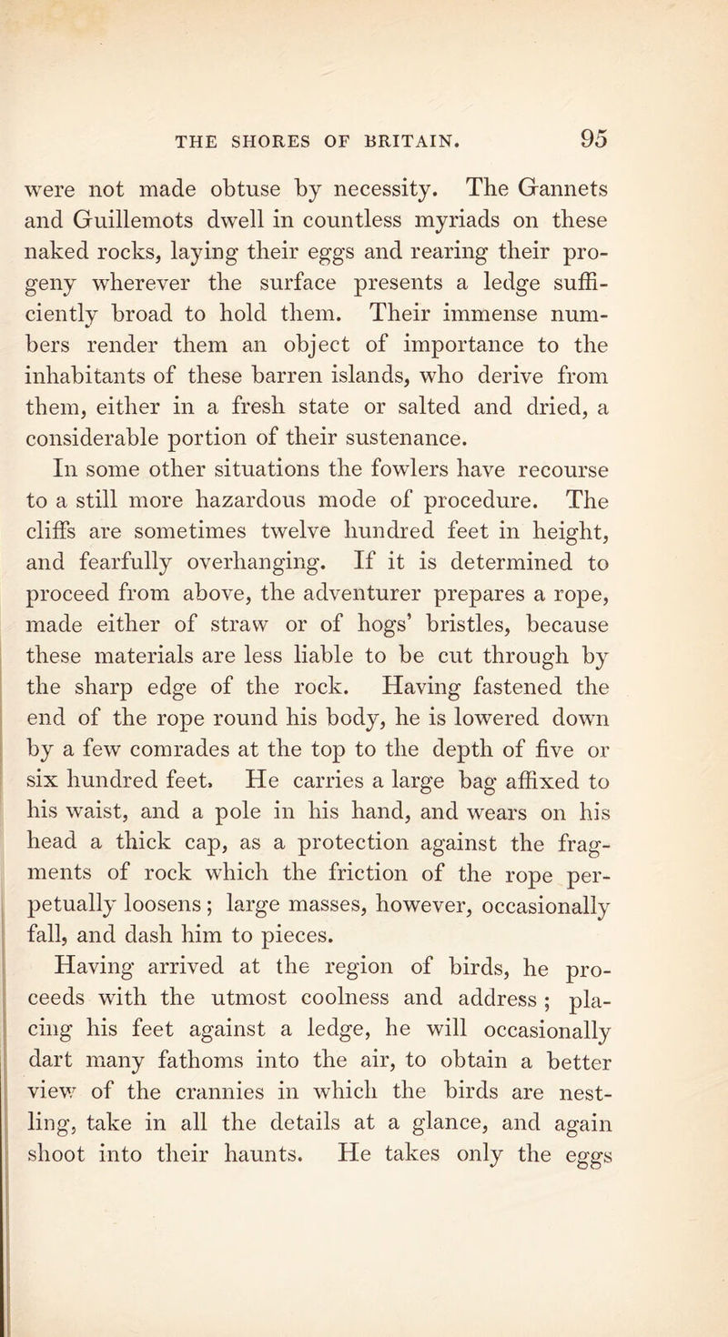were not made obtuse by necessity. The Gannets and Guillemots dwell in countless myriads on these naked rocks, laying their eggs and rearing their pro- geny wherever the surface presents a ledge suffi- ciently broad to hold them. Their immense num- bers render them an object of importance to the inhabitants of these barren islands, who derive from them, either in a fresh state or salted and dried, a considerable portion of their sustenance. In some other situations the fowlers have recourse to a still more hazardous mode of procedure. The cliffs are sometimes twelve hundred feet in height, and fearfully overhanging. If it is determined to proceed from above, the adventurer prepares a rope, made either of straw or of hogs’ bristles, because these materials are less liable to be cut through by the sharp edge of the rock. Having fastened the end of the rope round his body, he is lowered down by a few comrades at the top to the depth of five or six hundred feet. He carries a large bag affixed to his waist, and a pole in his hand, and wears on his head a thick cap, as a protection against the frag- ments of rock which the friction of the rope per- petually loosens ; large masses, however, occasionally fall, and dash him to pieces. Having arrived at the region of birds, he pro- ceeds with the utmost coolness and address ; pla- cing his feet against a ledge, he will occasionally dart many fathoms into the air, to obtain a better view of the crannies in which the birds are nest- ling, take in all the details at a glance, and again shoot into their haunts. He takes only the eggs