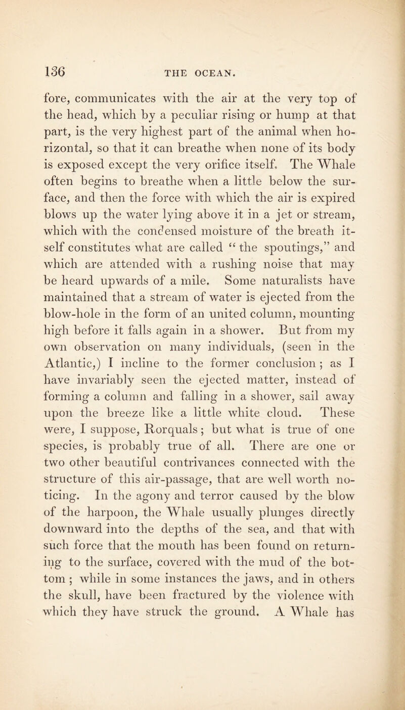 fore, communicates with the air at the very top of the head, which by a peculiar rising or hump at that part, is the very highest part of the animal when ho- rizontal, so that it can breathe when none of its body is exposed except the very orifice itself. The Whale often begins to breathe when a little below the sur- face, and then the force with which the air is expired blows up the water lying above it in a jet or stream, which with the condensed moisture of the breath it- self constitutes what are called “ the spoutings,” and which are attended with a rushing noise that may be heard upwards of a mile. Some naturalists have maintained that a stream of water is ejected from the blow-liole in the form of an united column, mounting high before it falls again in a shower. But from my own observation on many individuals, (seen in the Atlantic,) I incline to the former conclusion ; as I have invariably seen the ejected matter, instead of forming a column and falling in a shower, sail away upon the breeze like a little white cloud. These were, I suppose, Rorquals; but what is true of one species, is probably true of all. There are one or two other beautiful contrivances connected with the structure of this air-passage, that are well worth no- ticing. In the agony and terror caused by the blow of the harpoon, the Whale usually plunges directly downward into the depths of the sea, and that with such force that the mouth has been found on return- ing to the surface, covered with the mud of the bot- tom ; while in some instances the jaws, and in others the skull, have been fractured by the violence with which they have struck the ground. A Whale has