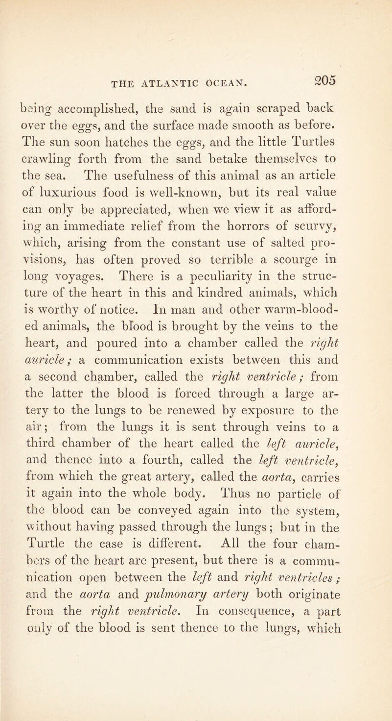 being accomplished, the sand is again scraped hack over the eggs, and the surface made smooth as before. The sun soon hatches the eggs, and the little Turtles crawling forth from the sand betake themselves to the sea. The usefulness of this animal as an article of luxurious food is well-known, but its real value can only be appreciated, when we view it as afford- ing an immediate relief from the horrors of scurvy, which, arising from the constant use of salted pro- visions, has often proved so terrible a scourge in long voyages. There is a peculiarity in the struc- ture of the heart in this and kindred animals, which is worthy of notice. In man and other warm-blood- ed animals, the blood is brought by the veins to the heart, and poured into a chamber called the right auricle; a communication exists between this and a second chamber, called the right ventricle; from the latter the blood is forced through a large ar- tery to the lungs to be renewed by exposure to the air; from the lungs it is sent through veins to a third chamber of the heart called the left auricle, and thence into a fourth, called the left ventricle, from which the great artery, called the aorta, carries it again into the whole body. Thus no particle of the blood can be conveyed again into the system, without having passed through the lungs ; but in the Turtle the case is different. All the four cham- bers of the heart are present, but there is a commu- nication open between the left and right ventricles ; and the aorta and pulmonary artery both originate from the right ventricle. In consequence, a part only of the blood is sent thence to the lungs, which