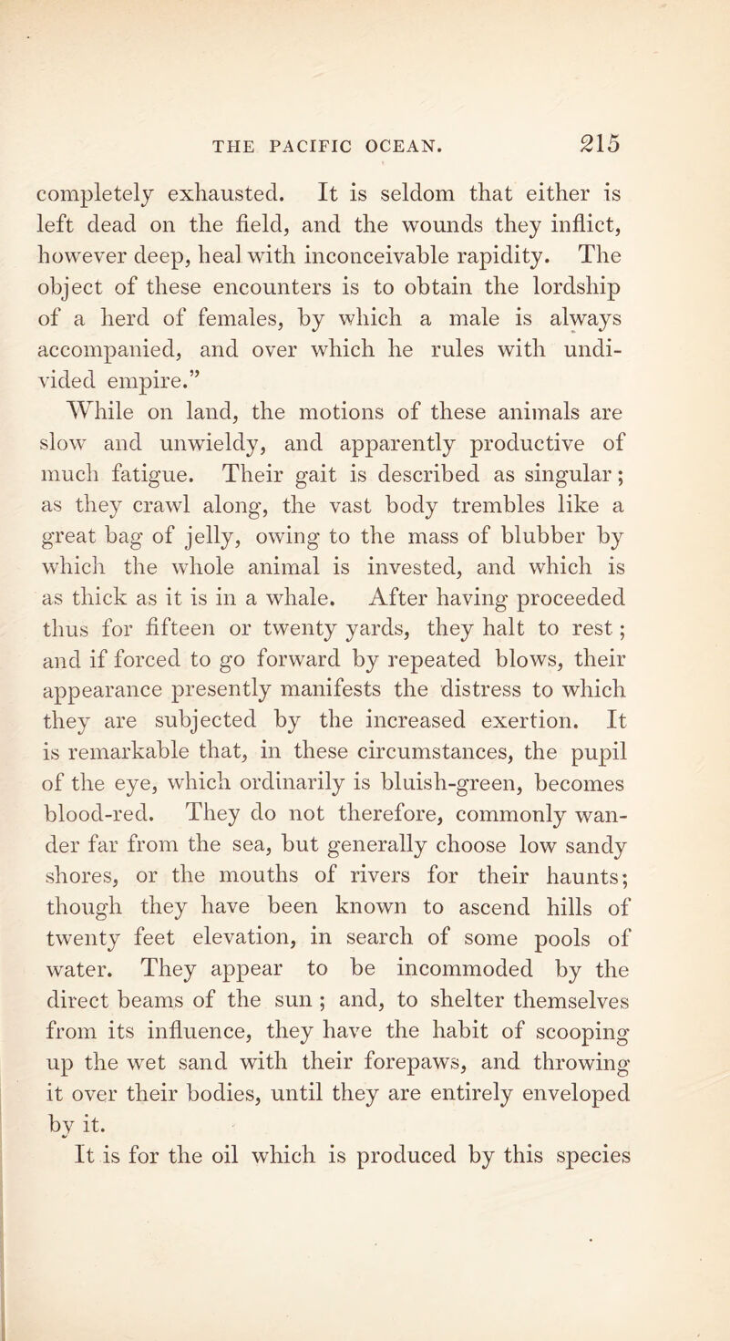 completely exhausted. It is seldom that either is left dead on the field, and the wounds they inflict, however deep, heal with inconceivable rapidity. The object of these encounters is to obtain the lordship of a herd of females, by which a male is always accompanied, and over which he rules with undi- vided empire.” While on land, the motions of these animals are slow and unwieldy, and apparently productive of much fatigue. Their gait is described as singular; as they crawl along, the vast body trembles like a great bag of jelly, owing to the mass of blubber by which the whole animal is invested, and which is as thick as it is in a whale. After having proceeded thus for fifteen or twenty yards, they halt to rest; and if forced to go forward by repeated blows, their appearance presently manifests the distress to which they are subjected by the increased exertion. It is remarkable that, in these circumstances, the pupil of the eye, which ordinarily is bluish-green, becomes blood-red. They do not therefore, commonly wan- der far from the sea, but generally choose low sandy shores, or the mouths of rivers for their haunts; though they have been known to ascend hills of twenty feet elevation, in search of some pools of water. They appear to be incommoded by the direct beams of the sun ; and, to shelter themselves from its influence, they have the habit of scooping up the wet sand with their forepaws, and throwing it over their bodies, until they are entirely enveloped bv it. It is for the oil which is produced by this species