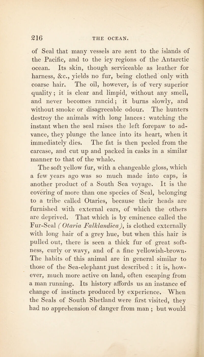 of Seal that many vessels are sent to the islands of the Pacific, and to the icy regions of the Antarctic ocean. Its skin, though serviceable as leather for harness, &c., yields no fur, being clothed only with coarse hair. The oil, however, is of very superior quality; it is clear and limpid, without any smell, and never becomes rancid; it burns slowly, and without smoke or disagreeable odour. The hunters destroy the animals with long lances: watching the instant when the seal raises the left forepaw to ad- vance, they plunge the lance into its heart, when it immediately dies. The fat is then peeled from the carcase, and cut up and packed in casks in a similar manner to that of the whale. The soft yellow fur, with a changeable gloss, wThich a few years ago was so much made into caps, is another product of a South Sea voyage. It is the covering of more than one species of Seal, belonging to a tribe called Otaries, because their heads are furnished with external ears, of which the others are deprived. That which is by eminence called the Fur-Seal ( Otaria Falhlandica), is clothed externally with long hair of a grey hue, but when this hair is pulled out, there is seen a thick fur of great soft- ness, curly or wavy, and of a fine yellowish-brown* The habits of this animal are in general similar to those of the Sea-elephant just described : it is, how- ever, much more active on land, often escaping from a man running. Its history affords us an instance of change of instincts produced by experience. When the Seals of South Shetland were first visited, they had no apprehension of danger from man ; but would