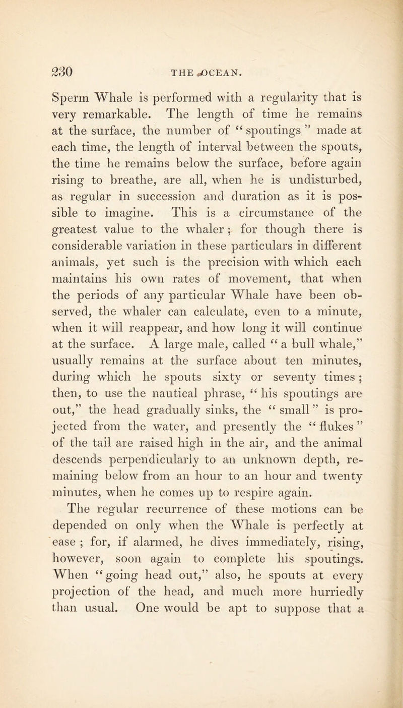 Sperm Whale is performed with a regularity that is very remarkable. The length of time he remains at the surface, the number of “ spoutings 51 made at each time, the length of interval between the spouts, the time he remains below the surface, before again rising to breathe, are all, when he is undisturbed, as regular in succession and duration as it is pos- sible to imagine. This is a circumstance of the greatest value to the whaler ; for though there is considerable variation in these particulars in different animals, yet such is the precision with which each maintains his own rates of movement, that when the periods of any particular Whale have been ob- served, the whaler can calculate, even to a minute, when it will reappear, and how long it will continue at the surface. A large male, called “ a bull whale,” usually remains at the surface about ten minutes, during which he spouts sixty or seventy times ; then, to use the nautical phrase, “ his spoutings are out,” the head gradually sinks, the “ small ” is pro- jected from the water, and presently the “ flukes ” of the tail are raised high in the air, and the animal descends perpendicularly to an unknown depth, re- maining below from an hour to an hour and twenty minutes, when he comes up to respire again. The regular recurrence of these motions can be depended on only when the Whale is perfectly at ease ; for, if alarmed, he dives immediately, rising, however, soon again to complete his spoutings. When “ going head out,” also, he spouts at every projection of the head, and much more hurriedly than usual. One would be apt to suppose that a