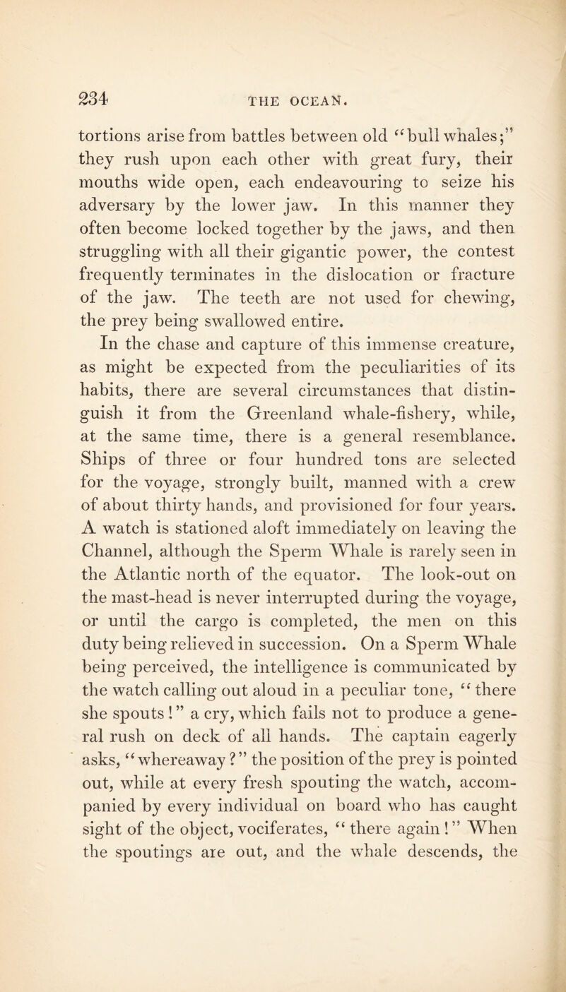tortions arise from battles between old “bull whales they rush upon each other with great fury, their mouths wide open, each endeavouring to seize his adversary by the lower jaw. In this manner they often become locked together by the jaws, and then struggling with all their gigantic power, the contest frequently terminates in the dislocation or fracture of the jaw. The teeth are not used for chewing, the prey being swallowed entire. In the chase and capture of this immense creature, as might be expected from the peculiarities of its habits, there are several circumstances that distin- guish it from the Greenland whale-fishery, while, at the same time, there is a general resemblance. Ships of three or four hundred tons are selected for the voyage, strongly built, manned with a crew of about thirty hands, and provisioned for four years. A watch is stationed aloft immediately on leaving the Channel, although the Sperm Whale is rarely seen in the Atlantic north of the equator. The look-out on the mast-head is never interrupted during the voyage, or until the cargo is completed, the men on this duty being relieved in succession. On a Sperm Whale being perceived, the intelligence is communicated by the watch calling out aloud in a peculiar tone, “ there she spouts ! ” a cry, which fails not to produce a gene- ral rush on deck of all hands. The captain eagerly asks, “whereaway ? ” the position of the prey is pointed out, while at every fresh spouting the watch, accom- panied by every individual on board who has caught sight of the object, vociferates, “ there again ! ” When the spoutings are out, and the whale descends, the