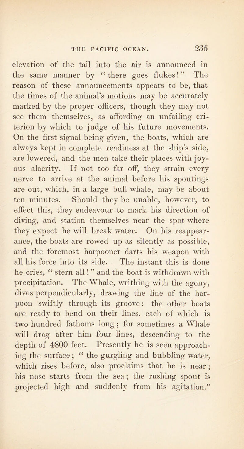 elevation of the tail into the air is announced in the same manner by “ there goes flukes! ” The reason of these announcements appears to he, that the times of the animal's motions may be accurately marked by the proper officers, though they may not see them themselves, as affording an unfailing cri- terion by which to judge of his future movements. On the first signal being given, the boats, which are always kept in complete readiness at the ship’s side, are lowered, and the men take their places with joy- ous alacrity. If not too far off, they strain every nerve to arrive at the animal before his spoutings are out, which, in a large bull whale, may be about ten minutes. Should they be unable, however, to effect this, they endeavour to mark his direction of diving, and station themselves near the spot where they expect he will break water. On his reappear- ance, the boats are rowed up as silently as possible, and the foremost harpooner darts his weapon with all his force into its side. The instant this is done he cries, “ stern all! ” and the boat is withdrawn with precipitation. The Whale, writhing with the agony, dives perpendicularly, drawing the line of the har- poon swiftly through its groove: the other boats are ready to bend on their lines, each of which is two hundred fathoms long; for sometimes a Whale will drag after him four lines, descending to the depth of 4800 feet. Presently he is seen approach- ing the surface; “ the gurgling and bubbling water, which rises before, also proclaims that he is near ; his nose starts from the sea; the rushing spout is projected high and suddenly from his agitation.”