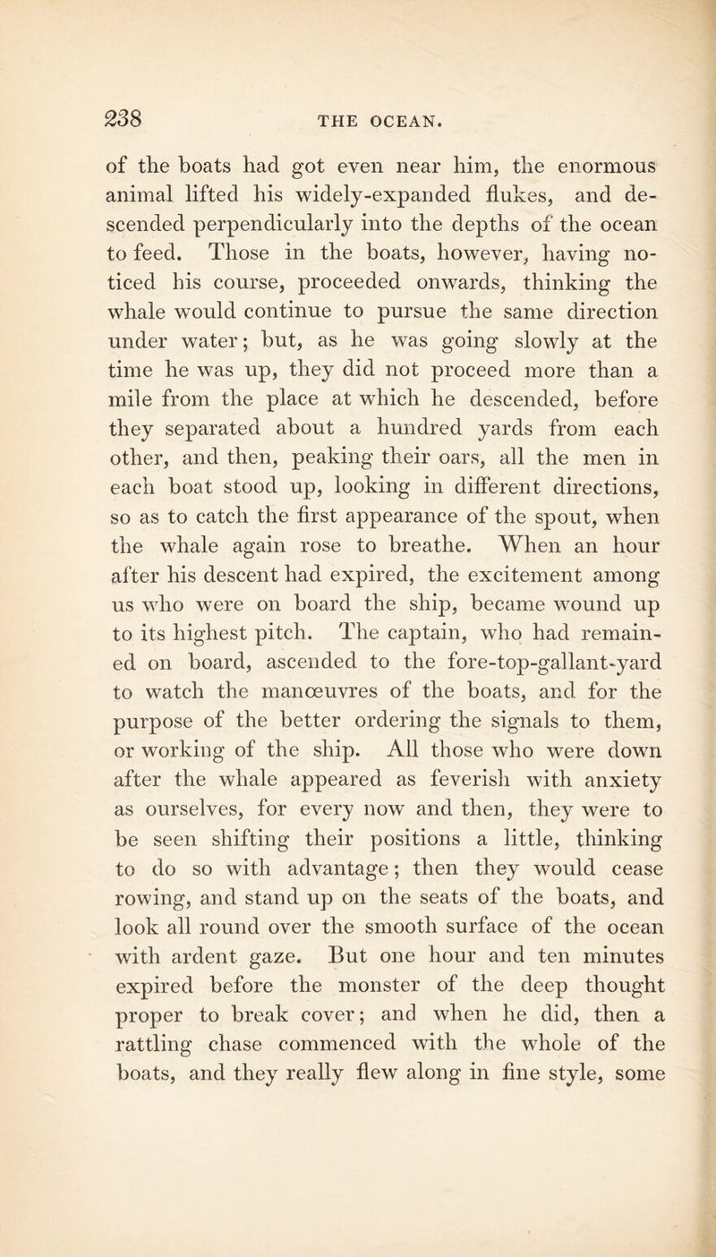 of the boats had got even near him, the enormous animal lifted his widely-expanded flukes, and de- scended perpendicularly into the depths of the ocean to feed. Those in the boats, however, having no- ticed his course, proceeded onwards, thinking the whale would continue to pursue the same direction under water; hut, as he was going slowly at the time he was up, they did not proceed more than a mile from the place at which he descended, before they separated about a hundred yards from each other, and then, peaking their oars, all the men in each boat stood up, looking in different directions, so as to catch the first appearance of the spout, when the whale again rose to breathe. When an hour after his descent had expired, the excitement among us who were on board the ship, became wound up to its highest pitch. The captain, who had remain- ed on hoard, ascended to the fore-top-gallant-yard to watch the manoeuvres of the boats, and for the purpose of the better ordering the signals to them, or working of the ship. All those who were down after the whale appeared as feverish with anxiety as ourselves, for every now and then, they were to be seen shifting their positions a little, thinking to do so with advantage; then they would cease rowing, and stand up on the seats of the boats, and look all round over the smooth surface of the ocean with ardent gaze. But one hour and ten minutes expired before the monster of the deep thought proper to break cover; and when he did, then a rattling chase commenced with the whole of the boats, and they really flew along in fine style, some