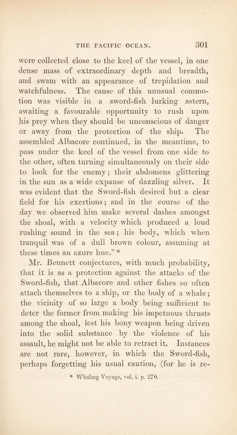 were collected close to the keel of the vessel, in one dense mass of extraordinary depth and breadth, and swam with an appearance of trepidation and watchfulness. The cause of this unusual commo- tion was visible in a sword-fish lurking astern, awaiting a favourable opportunity to rush upon his prey when they should be unconscious of danger or away from the protection of the ship. The assembled Albacore continued, in the meantime, to pass under the keel of the vessel from one side to the other, often turning simultaneously on their side to look for the enemy; their abdomens glittering in the sun as a wide expanse of dazzling silver. It was evident that the Sword-fish desired but a clear field for his exertions; and in the course of the day we observed him make several dashes amongst the shoal, with a velocity which produced a loud rushing sound in the sea; his body, which when tranquil was of a dull brown colour, assuming at these times an azure hue.” * Mr. Bennett conjectures, with much probability, that it is as a protection against the attacks of the Sword-fish, that Albacore and other fishes so often attach themselves to a ship, or the body of a whale; the vicinity of so large a body being sufficient to deter the former from making his impetuous thrusts among the shoal, lest his bony weapon being driven into the solid substance by the violence of his assault, he might not be able to retract it. Instances are not rare, however, in which the Sword-fish, perhaps forgetting his usual caution, (for he is re- * Whaling Voyage, vol. i. p. 270.