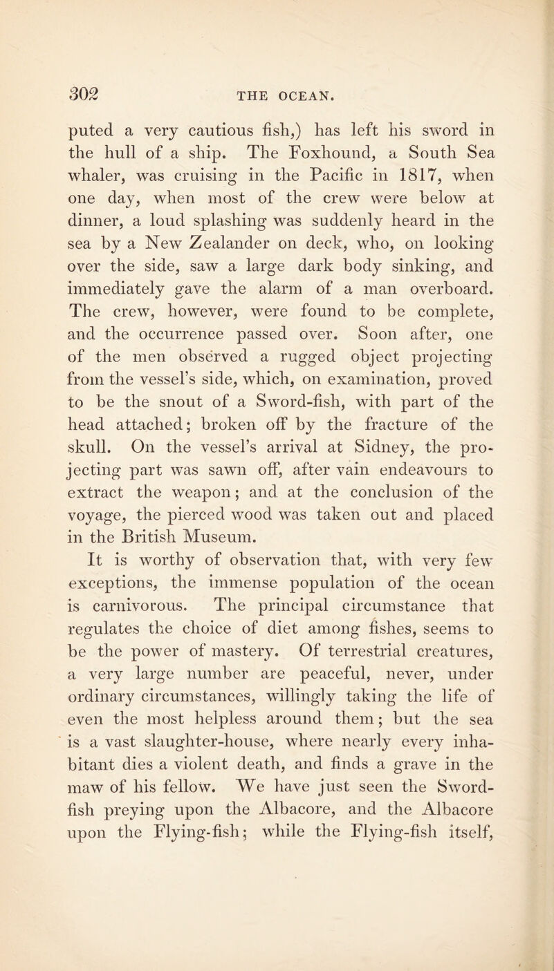 puted a very cautious fish,) has left his sword in the hull of a ship. The Foxhound, a South Sea whaler, was cruising in the Pacific in 1817, when one day, when most of the crew were below at dinner, a loud splashing was suddenly heard in the sea by a New Zealander on deck, who, on looking over the side, saw a large dark body sinking, and immediately gave the alarm of a man overboard. The crew, however, were found to be complete, and the occurrence passed over. Soon after, one of the men observed a rugged object projecting from the vessel’s side, which, on examination, proved to be the snout of a Sword-fish, with part of the head attached; broken off by the fracture of the skull. On the vessel’s arrival at Sidney, the pro- jecting part was sawn off, after vain endeavours to extract the weapon; and at the conclusion of the voyage, the pierced wood was taken out and placed in the British Museum. It is worthy of observation that, with very few exceptions, the immense population of the ocean is carnivorous. The principal circumstance that regulates the choice of diet among fishes, seems to be the power of mastery. Of terrestrial creatures, a very large number are peaceful, never, under ordinary circumstances, willingly taking the life of even the most helpless around them; but the sea is a vast slaughter-house, where nearly every inha- bitant dies a violent death, and finds a grave in the maw of his fellow. We have just seen the Sword- fish preying upon the Albacore, and the Albacore upon the Flying-fish; while the Flying-fish itself,