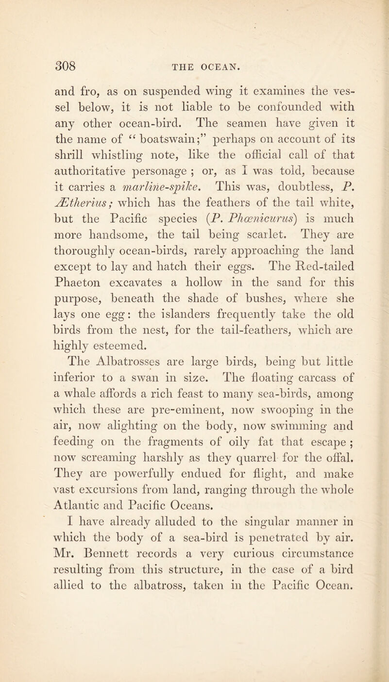 and fro, as on suspended wing it examines the ves- sel below, it is not liable to be confounded with any other ocean-bird. The seamen have given it the name of “ boatswain;” perhaps on account of its shrill whistling note, like the official call of that authoritative personage ; or, as I was told, because it carries a marline-spike. This was, doubtless, P. JEtherius; which has the feathers of the tail white, but the Pacific species (P. Phoenicurus) is much more handsome, the tail being scarlet. They are thoroughly ocean-birds, rarely approaching the land except to lay and hatch their eggs. The Red-tailed Phaeton excavates a hollow in the sand for this purpose, beneath the shade of bushes, where she lays one egg: the islanders frequently take the old birds from the nest, for the tail-feathers, which are highly esteemed. The Albatrosses are large birds, being but little inferior to a swan in size. The floating carcass of a whale affords a rich feast to many sea-birds, among which these are pre-eminent, now swooping in the air, now alighting on the body, now swimming and feeding on the fragments of oily fat that escape ; now screaming harshly as they quarrel for the offal. They are powerfully endued for flight, and make vast excursions from land, ranging through the whole Atlantic and Pacific Oceans. I have already alluded to the singular manner in which the body of a sea-bird is penetrated by air. Mr. Bennett records a very curious circumstance resulting from this structure, in the case of a bird allied to the albatross, taken in the Pacific Ocean.