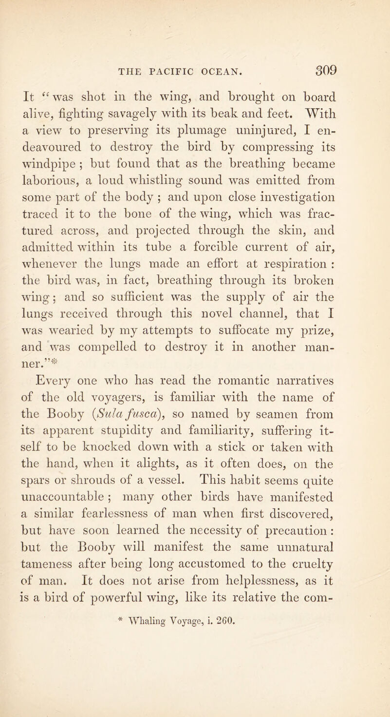 It “ was shot in the wing, and brought on board alive, fighting savagely with its beak and feet. With a view to preserving its plumage uninjured, I en- deavoured to destroy the bird by compressing its windpipe ; but found that as the breathing became laborious, a loud whistling sound was emitted from some part of the body ; and upon close investigation traced it to the bone of the wing, which was frac- tured across, and projected through the skin, and admitted within its tube a forcible current of air, whenever the lungs made an effort at respiration : the bird was, in fact, breathing through its broken wing; and so sufficient was the supply of air the lungs received through this novel channel, that I was wearied by my attempts to suffocate my prize, and was compelled to destroy it in another man- ner. * Every one who has read the romantic narratives of the old voyagers, is familiar with the name of the Booby {Sula fused), so named by seamen from its apparent stupidity and familiarity, suffering it- self to be knocked down with a stick or taken with the hand, when it alights, as it often does, on the spars or shrouds of a vessel. This habit seems quite unaccountable ; many other birds have manifested a similar fearlessness of man when first discovered, but have soon learned the necessity of precaution : but the Booby will manifest the same unnatural tameness after being long accustomed to the cruelty of man. It does not arise from helplessness, as it is a bird of powerful wing, like its relative the com- * Whaling Voyage, i. 260.