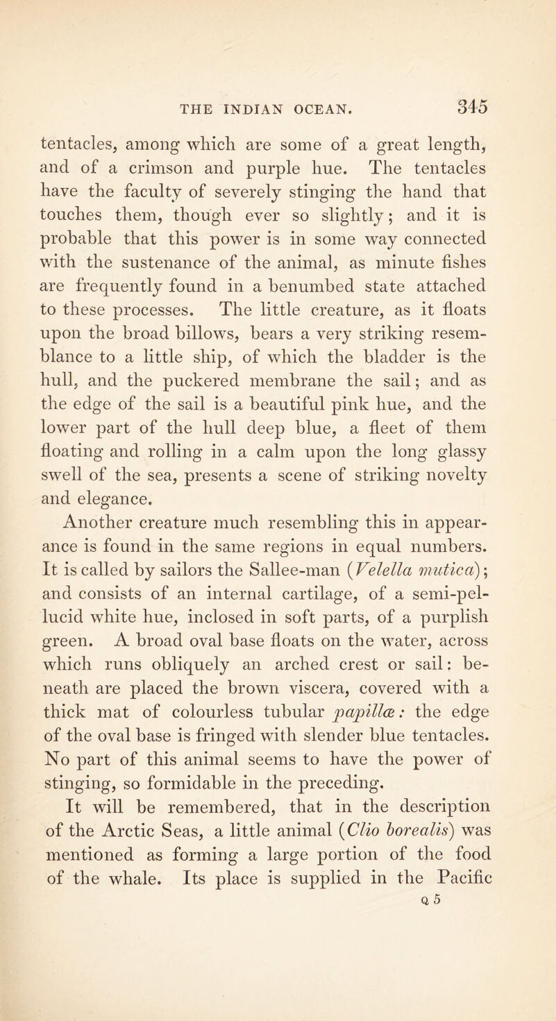 tentacles, among which are some of a great length, and of a crimson and purple hue. The tentacles have the faculty of severely stinging the hand that touches them, though ever so slightly; and it is probable that this power is in some way connected with the sustenance of the animal, as minute fishes are frequently found in a benumbed state attached to these processes. The little creature, as it floats upon the broad billows, bears a very striking resem- blance to a little ship, of which the bladder is the hull, and the puckered membrane the sail; and as the edge of the sail is a beautiful pink hue, and the lower part of the hull deep blue, a fleet of them floating and rolling in a calm upon the long glassy swell of the sea, presents a scene of striking novelty and elegance. Another creature much resembling this in appear- ance is found in the same regions in equal numbers. It is called by sailors the Sallee-man (Velella mutica); and consists of an internal cartilage, of a semi-pel- lucid white hue, inclosed in soft parts, of a purplish green. A broad oval base floats on the water, across which runs obliquely an arched crest or sail: be- neath are placed the brown viscera, covered with a thick mat of colourless tubular papilla: the edge of the oval base is fringed with slender blue tentacles. No part of this animal seems to have the power of stinging, so formidable in the preceding. It will be remembered, that in the description of the Arctic Seas, a little animal (Clio borealis) was mentioned as forming a large portion of the food of the whale. Its place is supplied in the Pacific