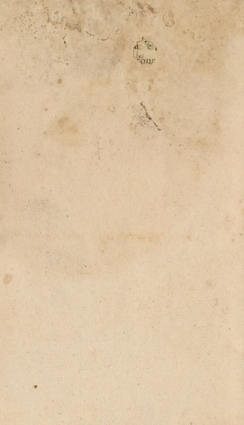 en plein champ et dans les jardins ; mais jô préférerois le nom de racine sur terre que lui donnent les Allemands, car il est caractéris¬ tique , au moins pour plusieurs variétés. Ce qui doit maintenant faire regarder la bet¬ terave comme une plante précieuse, c’est 11 certitude qu’on a de pouvoir en tirer de bon sucre , devenu par l’habitude une denréè presque de première nécessité ; il est donc bien essentiel de chercher les moyens d’en rendre la culture la plus économique possible. Par cette considération, je conseille de la semer dans les raies faites à la charrue , de la sarcler avec la houe à cheval, ce qui sera facile, si on n’ensemence qu’une raie sur deux, et de récolter à la charrue, c’est-à-dire en passant cet instrument le long des raies ensemencées, de manière à les découvrir en partie : la fourche fera le reste. Dans ce cas, il faudra mettre à part les racines qui seroient entamées, ou les employer sur-le-champ. C’est par des calculs qu’on se déterminera à cultiver de grandes pièces de terre en bette¬ raves, dans l'intention d’en vendre aux per¬ sonnes qui entreprendront de fabriquer du sucre. Ces calculs varieront selon les circons¬ tances } on comptera tous les frais et le prix