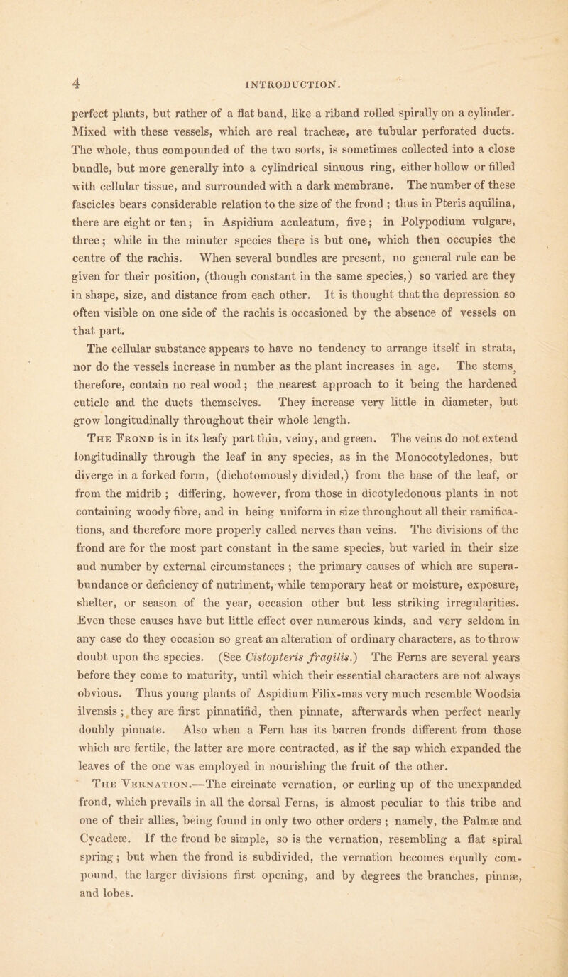 perfect plants, but rather of a flat band, like a riband rolled spirally on a cylinder. Mixed with these vessels, which are real tracheae, are tubular perforated ducts. The whole, thus compounded of the two sorts, is sometimes collected into a close bundle, but more generally into a cylindrical sinuous ring, either hollow or filled with cellular tissue, and surrounded with a dark membrane. The number of these fascicles bears considerable relation to the size of the frond ; thus in Pteris aquilina, there are eight or ten; in Aspidium aculeatum, five ; in Polypodium vulgare, three; while in the minuter species there is but one, which then occupies the centre of the rachis. When several bundles are present, no general rule can be given for their position, (though constant in the same species,) so varied are they in shape, size, and distance from each other. It is thought that the depression so often visible on one side of the rachis is occasioned by the absence of vessels on that part. The cellular substance appears to have no tendency to arrange itself in strata, nor do the vessels increase in number as the plant increases in age. The sterns^ therefore, contain no real wood; the nearest approach to it being the hardened cuticle and the ducts themselves. They increase very little in diameter, but grow longitudinally throughout their whole length. The Frond is in its leafy part thin, veiny, and green. The veins do not extend longitudinally through the leaf in any species, as in the Monocotyledones, but diverge in a forked form, (dichotomously divided,) from the base of the leaf, or from the midrib ; differing, however, from those in dicotyledonous plants in not containing woody fibre, and in being uniform in size throughout all their ramifica- tions, and therefore more properly called nerves than veins. The divisions of the frond are for the most part constant in the same species, but varied in their size and number by external circumstances ; the primary causes of which are supera- bundance or deficiency of nutriment, while temporary heat or moisture, exposure, shelter, or season of the year, occasion other but less striking irregularities. Even these causes have but little effect over numerous kinds, and very seldom in any case do they occasion so great an alteration of ordinary characters, as to throw doubt upon the species. (See Cistopteris fragilis.) The Ferns are several years before they come to maturity, until which their essential characters are not always obvious. Thus young plants of Aspidium Filix-mas very much resemble Woodsia ilvensis ; they are first pinnatifid, then pinnate, afterwards when perfect nearly doubly pinnate. Also when a Fern has its barren fronds different from those which are fertile, the latter are more contracted, as if the sap which expanded the leaves of the one was employed in nourishing the fruit of the other. The Vernation.—The circinate vernation, or curling up of the unexpanded frond, which prevails in all the dorsal Ferns, is almost peculiar to this tribe and one of their allies, being found in only two other orders ; namely, the Palmae and Cycadeae. If the frond be simple, so is the vernation, resembling a flat spiral spring; but when the frond is subdivided, the vernation becomes equally com- pound, the larger divisions first opening, and by degrees the branches, pinnae, and lobes.