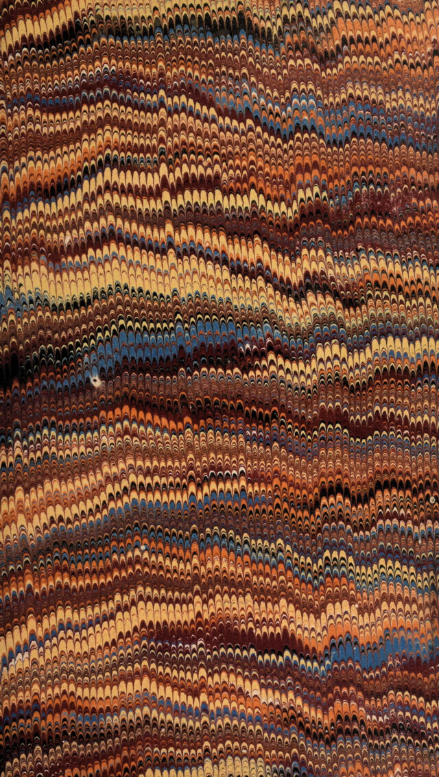 No text description is available for this image