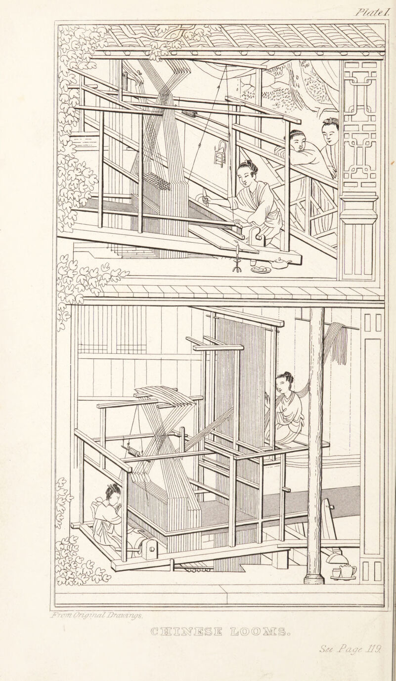 IPlalel See -Pac/e 119 ~——