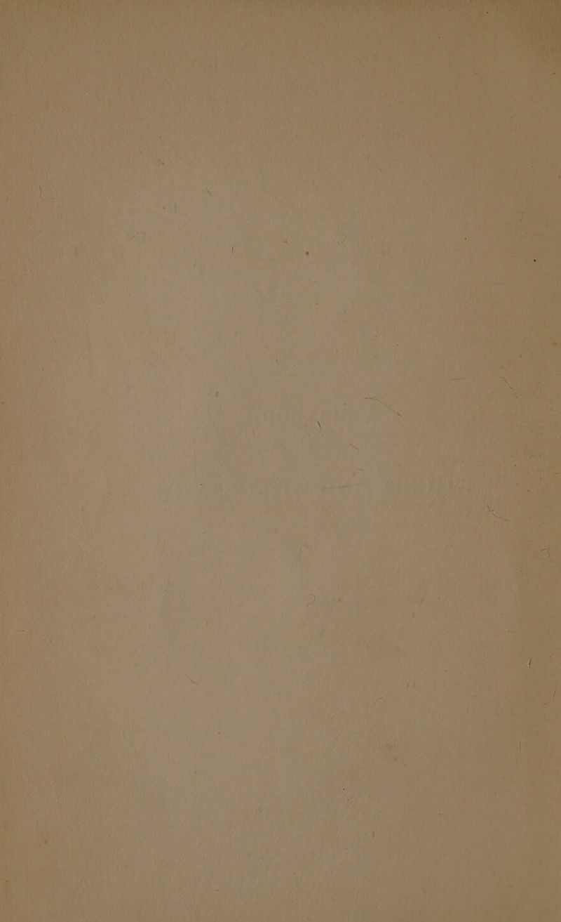 Wile! st PEN iL TTA Y SD faa te Sa stash aps es a } re a i le y Bp it had