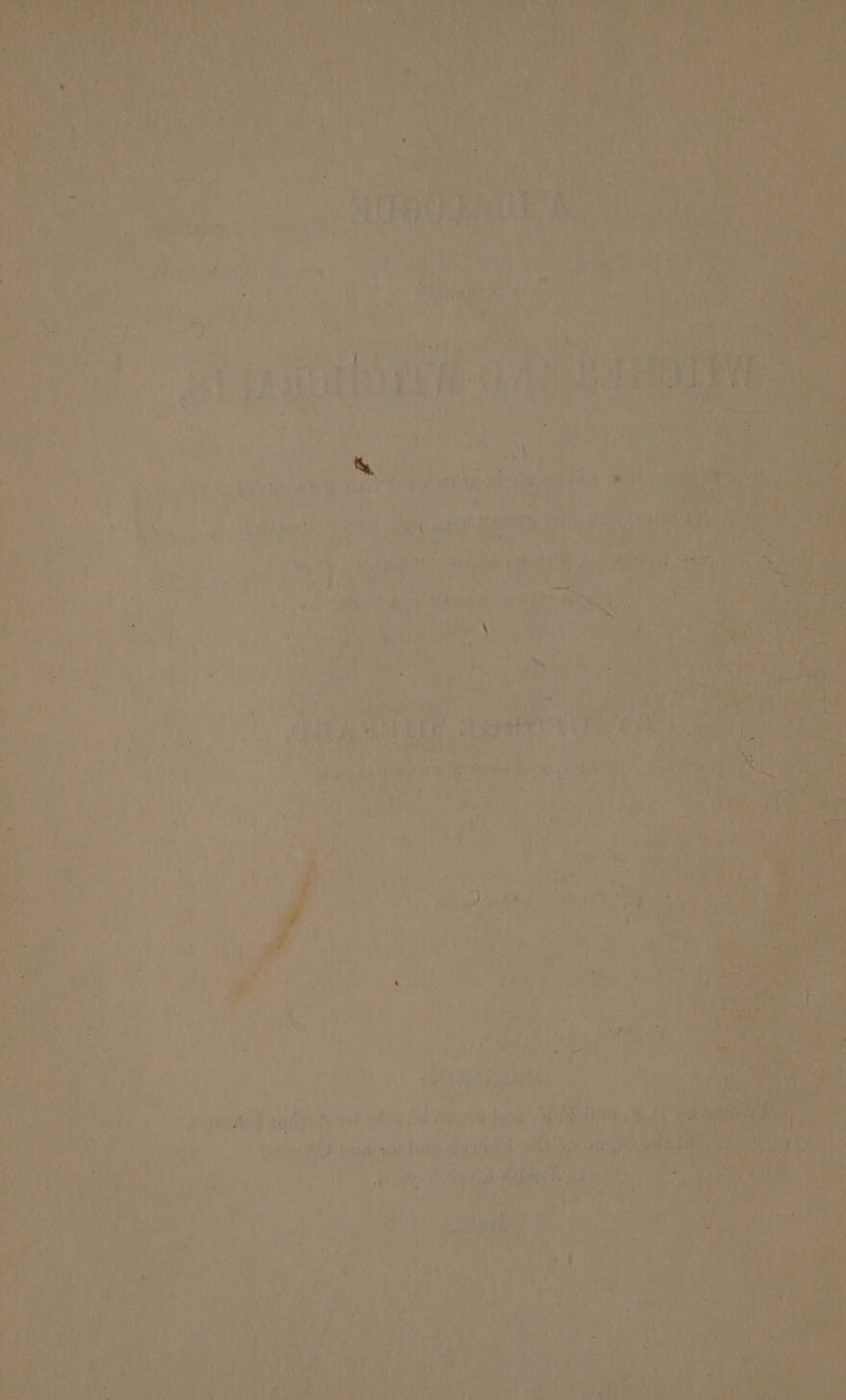 Peter te “. a a ~~ ie “ee fe Wid 'y nd vis y a) ve,