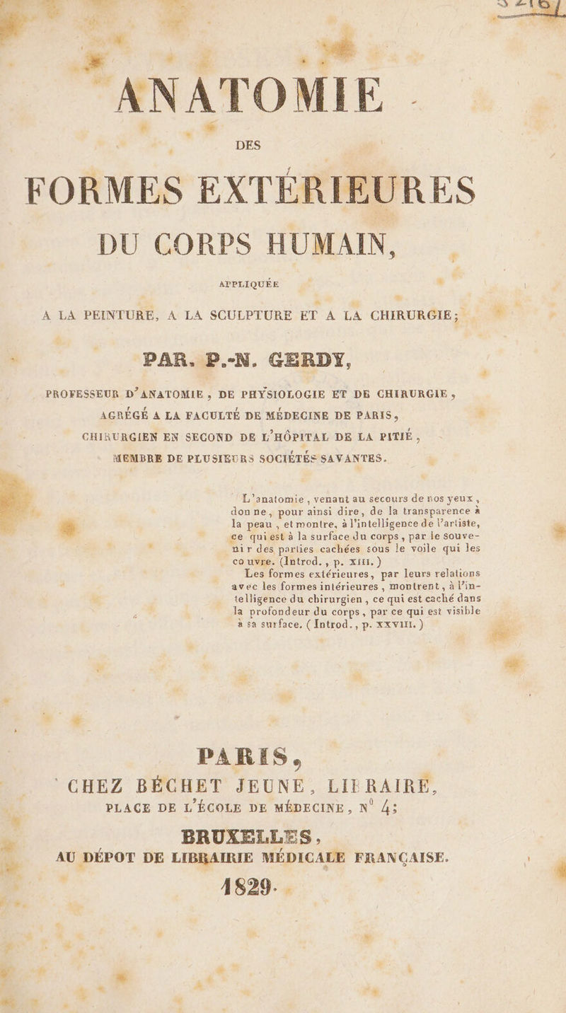 PS ir. ANATOMIE DES L FORMES EXTÉRIEURES DU CORPS HUMAIN, APPLIQUÉE * * r 2 À LA PEINTURE, À LA SCULPTURE ET À LA CHIRURGIE;, 4 | PAR. B.-N, GERDY, PROFESSEUR D’ANATOMIE , DE PHYSIOLOGIE ET DB CHIAURGIE ;, AGRÉGÉ A LA FACULTÉ DE MÉDECINE DE PARIS, &amp; CHIRURGIEN EN SECOND DE L'HÔPITAL DE LA PITIÉ , MEMBRE DE PLUSIEURS SOCIÉTÉS SAVANTES. L'’'anatomie , venant au secours de nos yeux, donne, pour ainsi dire, de [a transparence à la peau , et montre, à l'intelligence de l'artiste, ce quiest à la surface du corps, par le souve- nir des parlies cachées sous le voile qui les co uvre. (Introd. , p. Xiti.) Les formes extérieures, par leurs relations avec les formes intérieures , montrent, à l’in- telligence du chirurgien, ce qui est caché dans la profondeur du corps, par ce qui est visible à sa surface. ( Introd., p. xxvuI.) s PARIS, CHEZ BÉCHET JEUNE, LIERAIREÉ, PLACE DE L'ÉCOLE DE MÉDECINE, N° 4; ÿ BRUXELLES , AU DÉPOT DE LIBRAIRIE MÉDICALE FRANÇAISE. l | | is 1829.