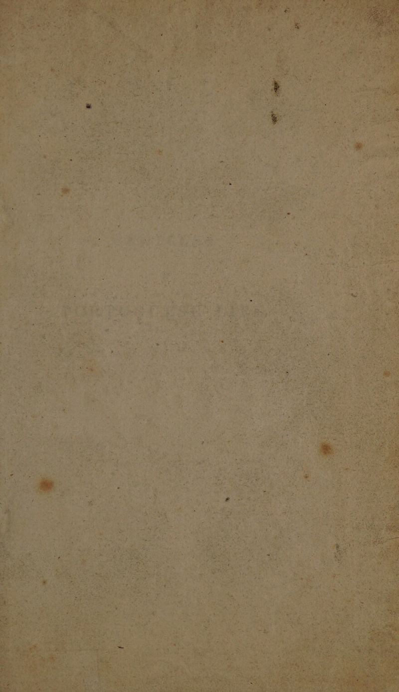 cata) Tala eal Ry ue