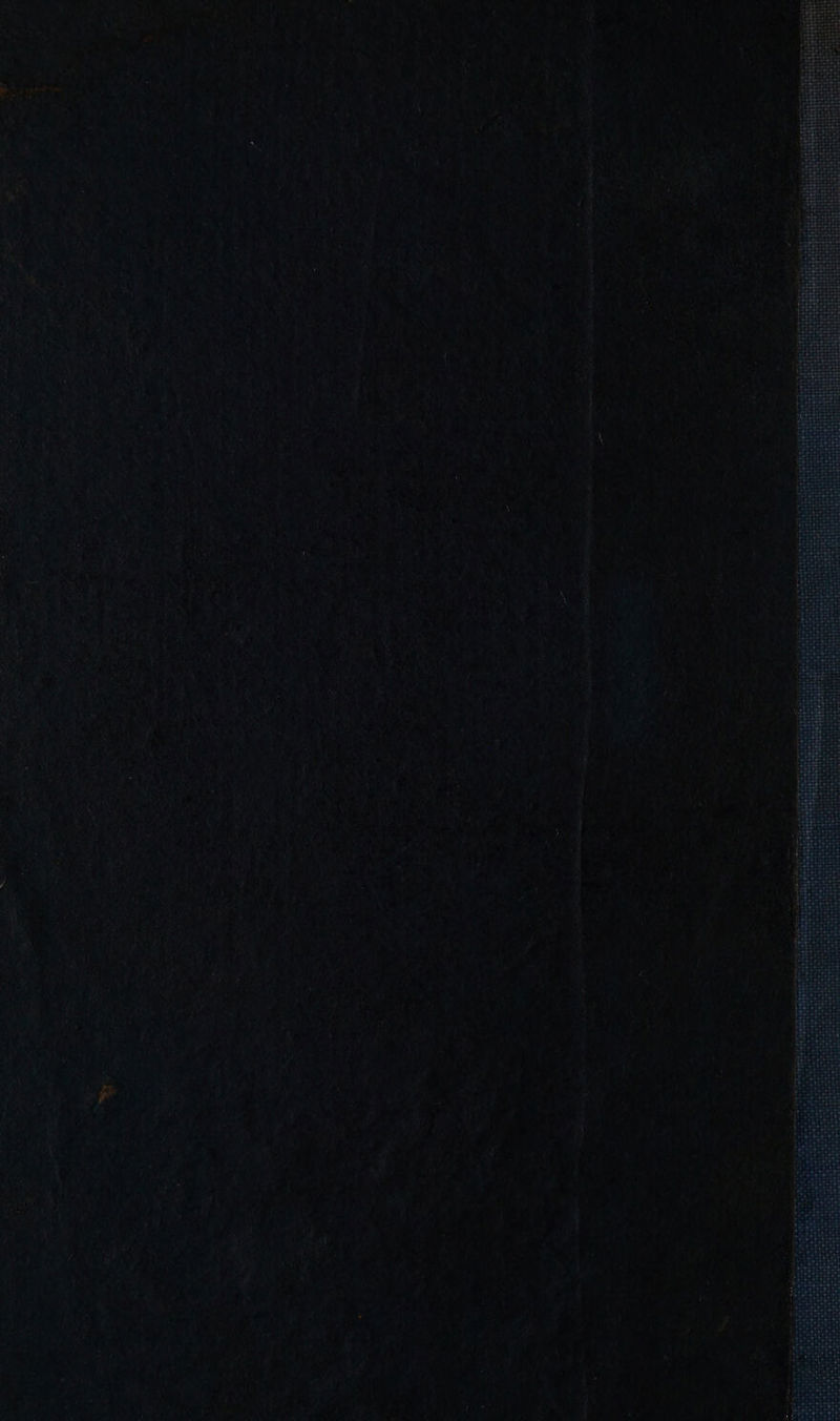 epls LS See an vemrss a aS) - “ + ~ > - pa 5 2 = a z * z ‘ “ % + ng ~ = < aie ‘ x ee, - t —gine pes - ~ i “i co , . a ¥ i ; * = ‘ 7 m 7 % - ” * * ~ o eK oe +o $ . , 2 a Mog pies, . < E = ae om, 7 - S a ; . : ¢ ~ ~ > . , : ~ * . a ~ . ~ 2 ¢ a 7 ~ Ih SS i. = ~ = - : 3 : , al 7 . - AN RATER Ee Wo Ane ie TE EOE se tes _ eae i -