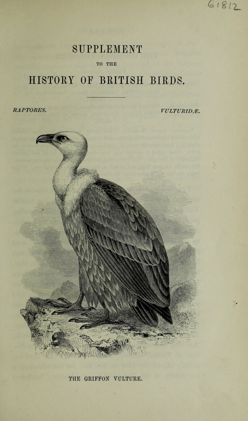 SUPPLEMENT TO THE HISTORY OE BRITISH BIRDS. RAPTORES. VULTURIDJE. THE GRIFFON VULTURE.