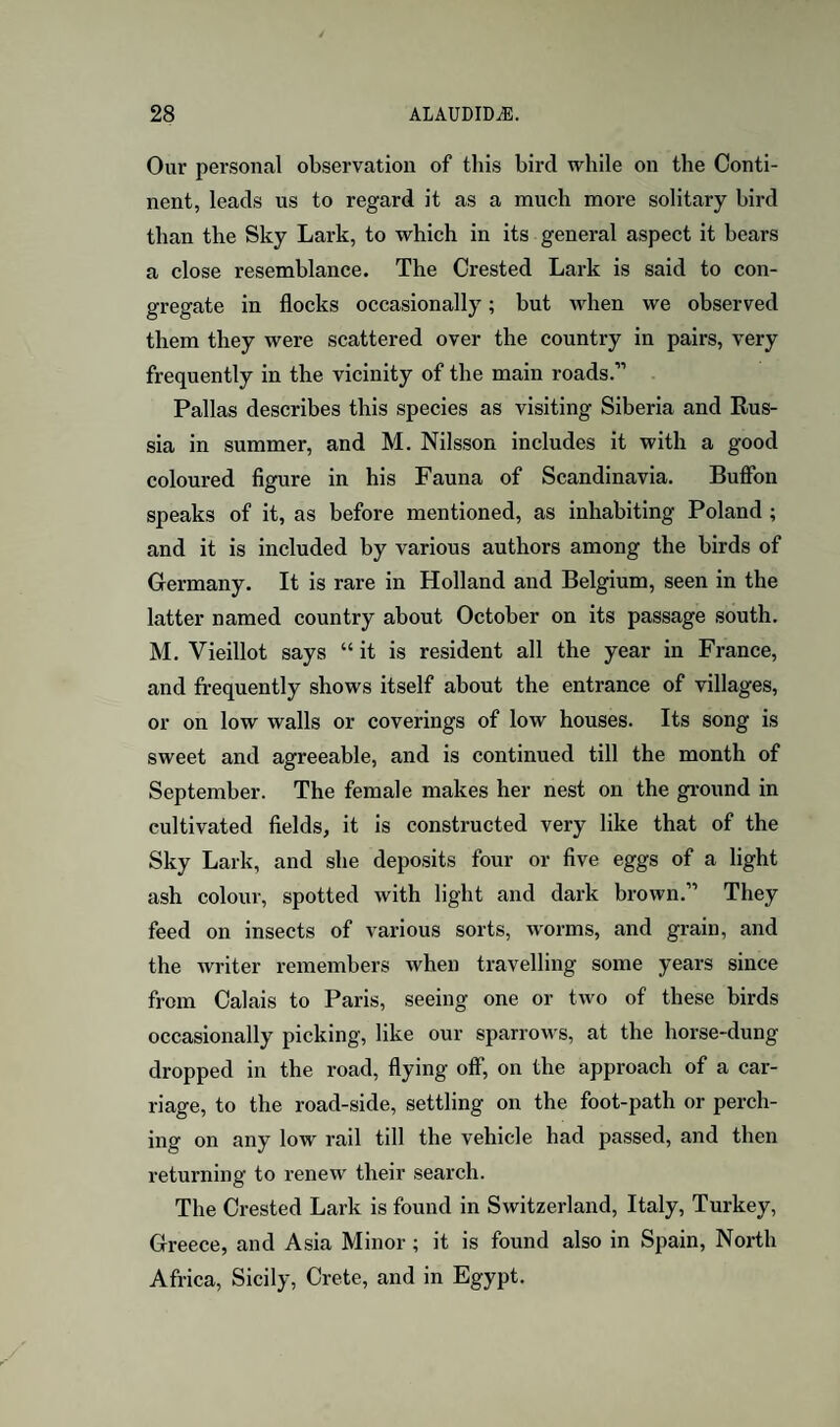 Our personal observation of this bird while on the Conti¬ nent, leads us to regard it as a much more solitary bird than the Sky Lark, to which in its general aspect it hears a close resemblance. The Crested Lark is said to con¬ gregate in flocks occasionally; but when we observed them they were scattered over the country in pairs, very frequently in the vicinity of the main roads.” Pallas describes this species as visiting Siberia and Rus¬ sia in summer, and M. Nilsson includes it with a good coloured figure in his Fauna of Scandinavia. Buffbn speaks of it, as before mentioned, as inhabiting Poland ; and it is included by various authors among the birds of Germany. It is rare in Holland and Belgium, seen in the latter named country about October on its passage south. M. Vieillot says “ it is resident all the year in France, and frequently shows itself about the entrance of villages, or on low walls or coverings of low houses. Its song is sweet and agreeable, and is continued till the month of September. The female makes her nest on the ground in cultivated fields, it is constructed very like that of the Sky Lark, and she deposits four or five eggs of a light ash colour, spotted with light and dark brown.” They feed on insects of various sorts, w'orms, and grain, and the writer remembers when travelling some years since from Calais to Paris, seeing one or two of these birds occasionally picking, like our sparrows, at the horse-dung dropped in the road, flying off, on the approach of a car¬ riage, to the road-side, settling on the foot-path or perch¬ ing on any low rail till the vehicle had passed, and then returning to renew their search. The Crested Lark is found in Switzerland, Italy, Turkey, Greece, and Asia Minor ; it is found also in Spain, North Africa, Sicily, Crete, and in Egypt.