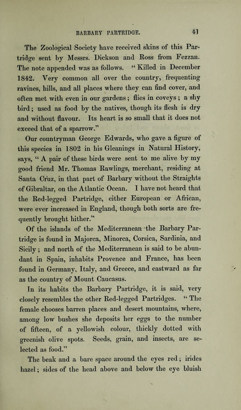 The Zoological Society have received skins of this Par¬ tridge sent by Messrs. Dickson and Ross from Fezzan. The note appended was as follows. “ Killed in December 1842. Very common all over the country, frequenting ravines, hills, and all places where they can find cover, and often met with even in our gardens; flies in coveys ; a shy bird; used as food by the natives, though its flesh is dry and without flavour. Its heart is so small that it does not exceed that of a sparrow.” Our countryman George Edwards, who gave a figure of this species in 1802 in his Gleanings in Natural History, says, “ A pair of these birds were sent to me alive by my good friend Mr. Thomas Rawlings, merchant, residing at Santa Cruz, in that part of Barbary without the Straights of Gibraltar, on the Atlantic Ocean. I have not heard that the Red-legged Partridge, either European or African, were ever increased in England, though both sorts are fre¬ quently brought hither.” Of the islands of the Mediterranean 'the Barbary Par¬ tridge is found in Majorca, Minorca, Corsica, Sardinia, and Sicily; and north of the Mediterranean is said to be abun¬ dant in Spain, inhabits Provence and France, has been found in Germany, Italy, and Greece, and eastward as far as the country of Mount Caucasus. In its habits the Barbary Partridge, it is said, very closely resembles the other Red-legged Partridges. “ The female chooses barren places and desert mountains, where, among low bushes she deposits her eggs to the number of fifteen, of a yellowish colour, thickly dotted with greenish olive spots. Seeds, grain, and insects, are se¬ lected as food.” The beak and a bare space around the eyes red; irides hazel; sides of the head above and below the eye bluish