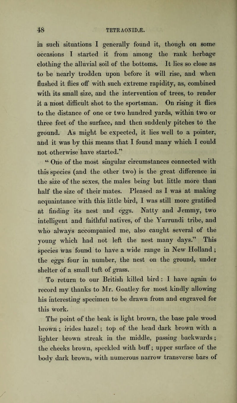 in such situations I generally found it, though on some occasions T started it from among the rank herbage clothing the alluvial soil of the bottoms. It lies so close as to be nearly trodden upon before it will rise, and when flushed it flies off* with such extreme rapidity, as, combined with its small size, and the intervention of trees, to render it a most difficult shot to the sportsman. On rising it flies to the distance of one or two hundred yards, within two or three feet of the surface, and then suddenly pitches to the ground. As might be expected, it lies well to a pointer, and it was by this means that I found many which I could not otherwise have started.” “ One of the most singular circumstances connected with this species (and the other two) is the great difference in the size of the sexes, the males being but little more than half the size of their mates. Pleased as I was at making acquaintance with this little bird, I was still more gratified at finding its nest and eggs. Natty and Jemmy, two intelligent and faithful natives, of the Yarrundi tribe, and who always accompanied me, also caught several of the young which had not left the nest many days.” This species was found to have a wide range in New Holland; the eggs four in number, the nest on the ground, under shelter of a small tuft of gi-ass. To return to our British killed bird : I have again to record my thanks to Mr. Groatley for most kindly allowing his interesting specimen to be drawn from and engraved for this work. The point of the beak is light brown, the base pale wood brown; irides hazel; top of the head dark brown with a lighter brown streak in the middle, passing backwards ; the cheeks brown, speckled with buff; upper surface of the body dark brown, with numerous narrow transverse bars of