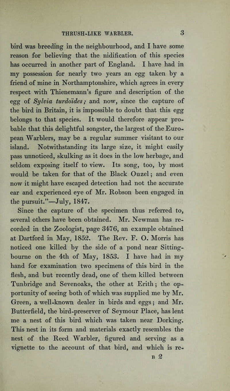 bird was breeding in the neighbourhood, and I have some reason for believing that the nidification of this species has occurred in another part of England. I have had in my possession for nearly two years an egg taken by a friend of mine in Northamptonshire, which agrees in every respect with Thienemann’s figure and description of the egg of Sylvia turdoides; and now, since the capture of the bird in Britain, it is impossible to doubt that this egg belongs to that species. It would therefore appear pro¬ bable that this delightful songster, the largest of the Euro¬ pean Warblers, may be a regular summer visitant to our island. Notwithstanding its large size, it might easily pass unnoticed, skulking as it does in the low herbage, and seldom exposing itself to view. Its song, too, by most would be taken for that of the Black Ouzel; and even now it might have escaped detection had not the accurate ear and experienced eye of Mr. Robson been engaged in the pursuit.”—July, 1847. Since the capture of the specimen thus referred to, several others have been obtained. Mr. Newman has re¬ corded in the Zoologist, page 3476, an example obtained at Dartford in May, 1852. The Rev. F. O. Morris has noticed one killed by the side of a pond near Sitting- bourne on the 4th of May, 1853. I have had in my hand for examination two specimens of this bird in the flesh, and but recently dead, one of them killed between Tunbridge and Sevenoaks, the other at Erith; the op¬ portunity of seeing both of which was supplied me by Mr. Green, a well-known dealer in birds and eggs; and Mr. Butterfield, the bird-preserver of Seymour Place, has lent me a nest of this bird which was taken near Dorking. This nest in its form and materials exactly resembles the nest of the Reed Warbler, figured and serving as a vignette to the account of that bird, and which is re- B 2