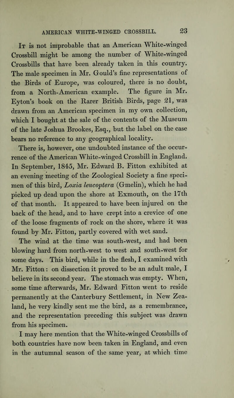 It is not improbable that an American White-winged Crossbill might be among the number of White-winged Crossbills that have been already taken in this country. The male specimen in Mr. Gould’s fine representations of the Birds of Europe, was coloured, there is no doubt, from a North-American example. The figure in Mr. Eyton’s book on the Rarer British Birds, page 21, was drawn from an American specimen in my own collection, which I bought at the sale of the contents of the Museum of the late Joshua Brookes, Esq., but the label on the case bears no reference to any geographical locality. There is, however, one undoubted instance of the occur¬ rence of the American White-winged Crossbill in England. In September, 1845, Mr. Edward B. Eitton exhibited at an evening meeting of the Zoological Society a fine speci¬ men of this bird, Lox'ia leucoftera (Gmelin), which he had picked up dead upon the shore at Exmouth, on the 17th of that month. It appeared to have been injured on the back of the head, and to have crept into a crevice of one of the loose fragments of rock on the shore, where it was found by Mr. Eitton, partly covered with wet sand. The wind at the time was south-west, and had been blowing hard from north-west to west and south-west for some days. This bird, while in the flesh, I examined with Mr. Eitton : on dissection it proved to be an adult male, I believe in its second year. The stomach was empty. When, some time afterwards, Mr. Edward Eitton went to reside permanently at the Canterbury Settlement, in New Zea¬ land, he very kindly sent me the bird, as a remembrance, and the representation preceding this subject was drawn from his specimen. I may here mention that the White-winged Crossbills of both countries have now been taken in England, and even in the autumnal season of the same year, at which time