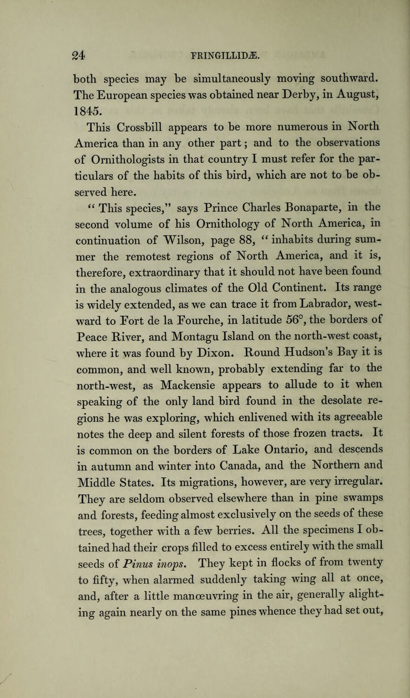 both species may be simultaneously moving southward. The European species was obtained near Derby, in August, 1845. This Crossbill appears to be more numerous in North America than in any other part; and to the observations of Ornithologists in that country I must refer for the par¬ ticulars of the habits of this bird, which are not to be ob¬ served here. “ This species,” says Prince Charles Bonaparte, in the second volume of his Ornithology of North America, in continuation of Wilson, page 88, “ inhabits during sum¬ mer the remotest regions of North America, and it is, therefore, extraordinary that it should not have been found in the analogous climates of the Old Continent. Its range is widely extended, as we can trace it from Labrador, west¬ ward to Fort de la Fourche, in latitude 56°, the borders of Peace River, and Montagu Island on the north-west coast, where it was found by Dixon. Round Hudson’s Bay it is common, and well known, probably extending far to the north-west, as Mackensie appears to allude to it when speaking of the only land bird found in the desolate re¬ gions he was exploring, which enlivened with its agreeable notes the deep and silent forests of those frozen tracts. It is common on the borders of Lake Ontario, and descends in autumn and winter into Canada, and the Northern and Middle States. Its migrations, however, are very irregular. They are seldom observed elsewhere than in pine swamps and forests, feeding almost exclusively on the seeds of these trees, together with a few berries. All the specimens I ob¬ tained had their crops filled to excess entirely with the small seeds of Pinus inops. They kept in flocks of from twenty to fifty, when alarmed suddenly taking wing all at once, and, after a little manoeuvring in the air, generally alight¬ ing again nearly on the same pines whence they had set out,