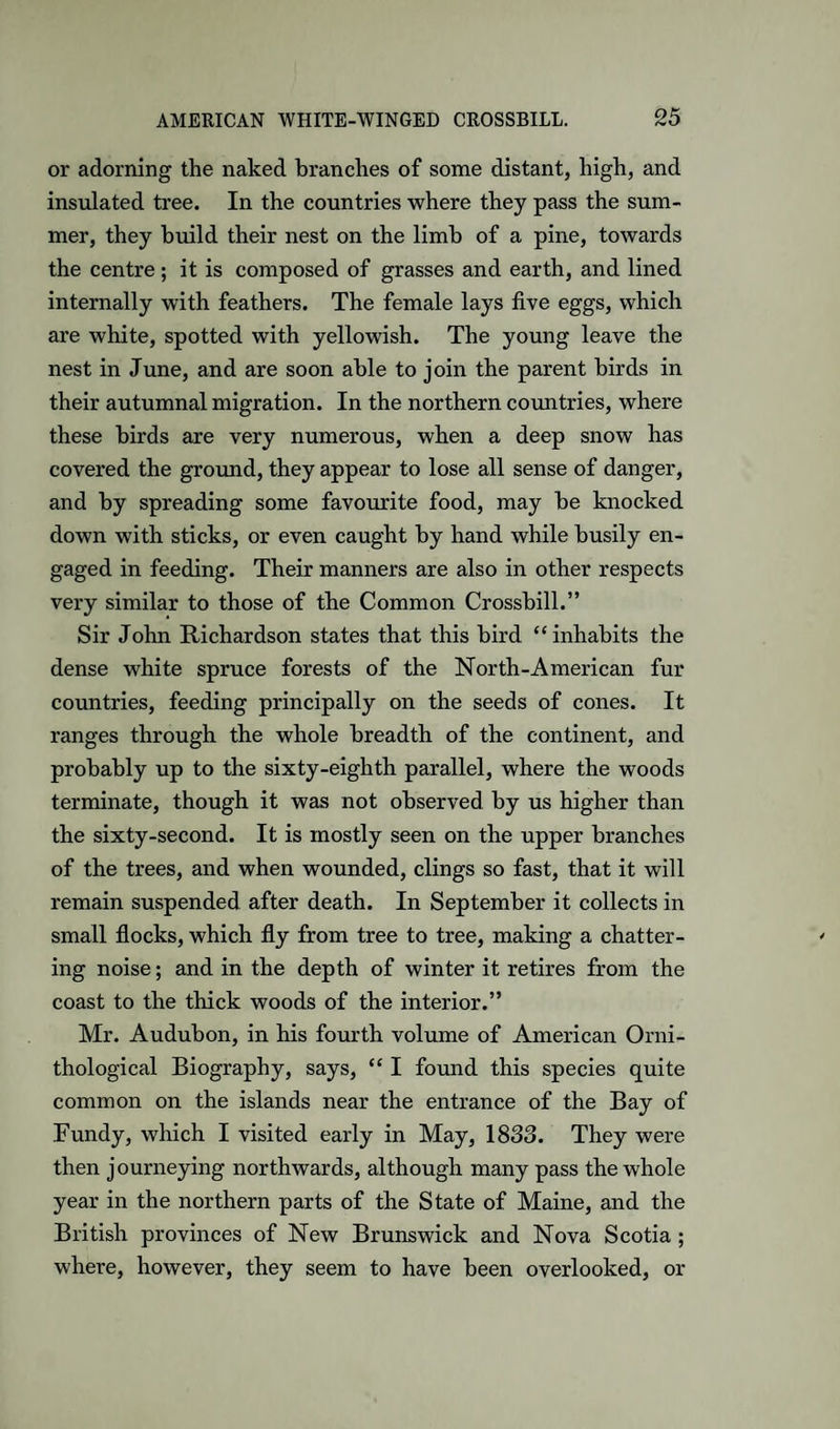 or adorning the naked branches of some distant, high, and insulated tree. In the countries where they pass the sum¬ mer, they build their nest on the limb of a pine, towards the centre ; it is composed of grasses and earth, and lined internally with feathers. The female lays five eggs, which are white, spotted with yello-wish. The young leave the nest in June, and are soon able to join the parent birds in their autumnal migration. In the northern countries, where these birds are very numerous, when a deep snow has covered the ground, they appear to lose all sense of danger, and by spreading some favourite food, may be knocked down with sticks, or even caught by hand while busily en¬ gaged in feeding. Their manners are also in other respects very similar to those of the Common Crossbill.” Sir John Richardson states that this bird “ inhabits the dense white spruce forests of the North-American fur countries, feeding principally on the seeds of cones. It ranges through the whole breadth of the continent, and probably up to the sixty-eighth parallel, where the woods terminate, though it was not observed by us higher than the sixty-second. It is mostly seen on the upper branches of the trees, and when wounded, clings so fast, that it will remain suspended after death. In September it collects in small flocks, which fly from tree to tree, making a chatter¬ ing noise; and in the depth of winter it retires from the coast to the thick woods of the interior.” Mr. Audubon, in his fourth volume of American Orni¬ thological Biography, says, “ I found this species quite common on the islands near the entrance of the Bay of Fundy, which I visited early in May, 1833. They were then journeying northwards, although many pass the whole year in the northern parts of the State of Maine, and the British provinces of New Brunswick and Nova Scotia; where, however, they seem to have been overlooked, or