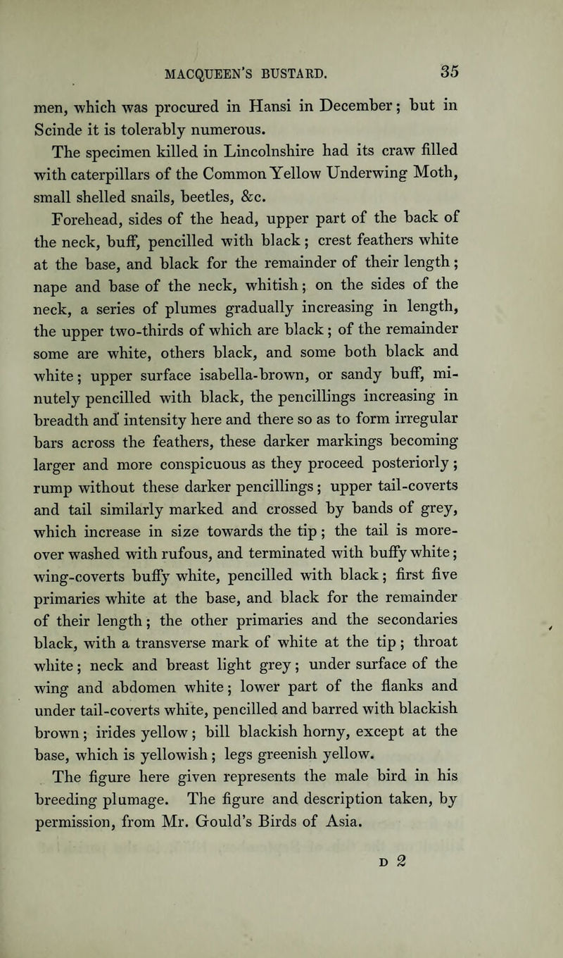 men, which was procured in Hansi in December; but in Scinde it is tolerably numerous. The specimen killed in Lincolnshire had its craw filled with caterpillars of the Common Yellow Underwing Moth, small shelled snails, beetles, &c. Forehead, sides of the head, upper part of the back of the neck, buff, pencilled with black; crest feathers white at the base, and black for the remainder of their length; nape and base of the neck, whitish; on the sides of the neck, a series of plumes gradually increasing in length, the upper two-thirds of which are black; of the remainder some are white, others black, and some both black and white; upper surface isabella-brown, or sandy buff, mi¬ nutely pencilled with black, the pencillings increasing in breadth and intensity here and there so as to form irregular bars across the feathers, these darker markings becoming- larger and more conspicuous as they proceed posteriorly ; rump without these darker pencillings; upper tail-coverts and tail similarly marked and crossed by bands of grey, which increase in size towards the tip; the tail is more¬ over washed with rufous, and terminated with buffy white; wing-coverts buffy white, pencilled vnth black; first five primaries white at the base, and black for the remainder of their length; the other primaries and the secondaries black, with a transverse mark of white at the tip; throat white; neck and breast light grey; under surface of the wing and abdomen white; lower part of the flanks and under tail-coverts white, pencilled and barred with blackish brown; irides yellow; bill blackish horny, except at the base, which is yellowish ; legs greenish yellow. The figure here given represents the male bird in his breeding plumage. The figure and description taken, by permission, from Mr. Gould’s Birds of Asia.