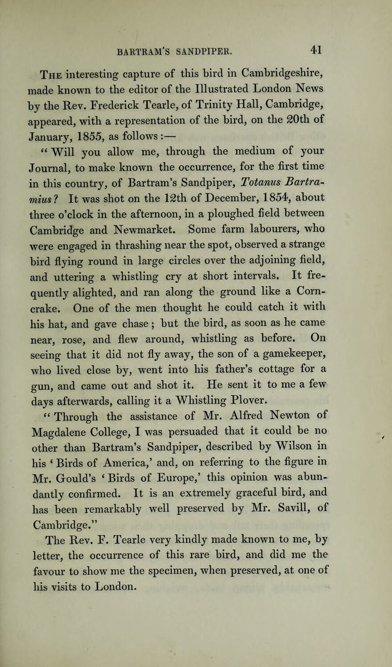 The interesting capture of this bird in Cambridgeshire, made known to the editor of the Illustrated London News by the Rev. Frederick Tearle, of Trinity Hall, Cambridge, appeared, with a representation of the bird, on the 20th of January, 1855, as follows :— “ Will you allow me, through the medium of your Journal, to make known the occm-rence, for the first time in this country, of Bartram’s Sandpiper, Totanus Bartra- miusl It was shot on the 12th of December, 1854, about three o’clock in the afternoon, in a ploughed field between Cambridge and Newmarket. Some farm labourers, who were engaged in thrashing near the spot, observed a strange bird flying round in large circles over the adjoining field, and uttering a whistling cry at short intervals. It fre¬ quently alighted, and ran along the ground like a Corn¬ crake. One of the men thought he could catch it with his hat, and gave chase ; but the bird, as soon as he came near, rose, and flew around, whistling as before. On seeing that it did not fly away, the son of a gamekeeper, who lived close by, went into his father’s cottage for a gun, and came out and shot it. He sent it to me a few days afterwards, calling it a Whistling Plover. “ Through the assistance of Mr. Alfred Newton of Magdalene College, I was persuaded that it could be no other than Bartram’s Sandpiper, described by Wilson in his ‘ Birds of America,’ and, on referring to the figure in Mr. Gould’s ‘ Birds of Europe,’ this opinion was abun¬ dantly confirmed. It is an extremely graceful bird, and has been remarkably well preserved by Mr. Savill, of Cambridge.” The Rev. F. Tearle very kindly made known to me, by letter, the occurrence of this rare bird, and did me the favour to show me the specimen, when preserved, at one of his visits to London.