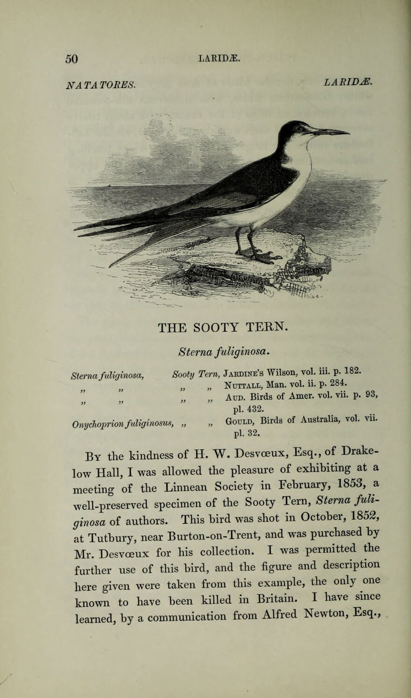 NATATORES. LARID^. THE SOOTY TERN. Sterna fuliginosa. Sterna fuliginosa, Sooty Tern, Jakdine’s Wilson, vol. iii. p. 182. „ Nuttall, Man. vol. ii. p. 284. ,, „ Add. Birds of Amer. vol. vii. p. 93, }f if >> pi. 432. Onychoprionfuliginosu.s, „ „ Gould, Birds of Australia, vol. vii. pi. 32. By the kindness of H. W. Desvoeux, Esq., of Drake- low Hall, I was allowed the pleasure of exhibiting at a meeting of the Linnean Society in February, 1853, a well-preserved specimen of the Sooty Tern, Sterna fuli¬ ginosa of authors. This bird was shot in October, 1852, at Tuthury, near Burton-on-Trent, and was purchased by Mr. Desvoeux for his collection. I was permitted the further use of this bird, and the figure and description here given were taken from this example, the only one known to have been killed in Britain. I have since learned, by a communication from Alfred Newton, Esq.,