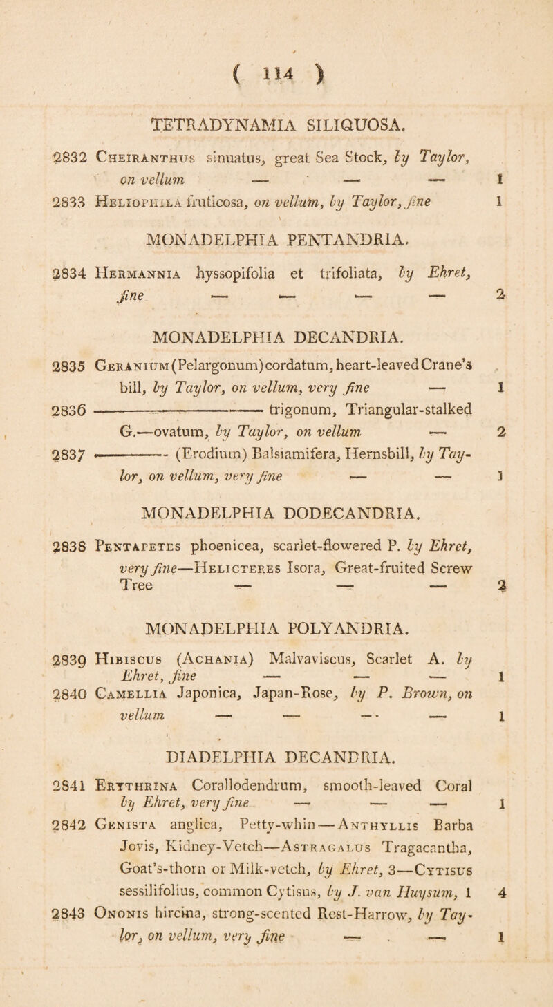TETR ADYNAMIA SILIQUOSA. 2832 Cheiranthus sinuatus, great Sea Stock, ly Taylor, on vellum — — — 2833 Heliopkila fruticosa, on vellum, by Taylor, fine \ MONADELPHIA PENTANDR1A, 2834 PIermannia hyssopifolia et trifoliata, ly Ehret, MONADELPHIA DECANDRIA. 2835 Gerani um (Pelargonum)cordatum, heart-leaved Crane’s bill, ly Taylor, on vellum, very fine — 2836 -—— --trigonum, Triangular-stalked G,—ovatum, ly Taylor, on vellum. —- 2837 --— (Erodium) Balsiamifera, Hernsbill, ly Tay¬ lor, on vellum, very fine —- — MONADELPHIA DODECANDRIA. 2838 Pentafetes phoenicea, scarlet-flowered P. by Ehret, very fine—Helicteres Isora, Great-fruited Screw Tree —- — — MONADELPPXIA POLYANDRIA. 2839 Hibiscus (Achania) Malvaviscus, Scarlet A. ly Ehret, fine — —■ — 2840 Camellia Japonica, Japan-Rose, ly P. Brown, on vellum *— —- — - — DIADELPHIA DECANDRIA. 2841 Erythrina Corallodendrum, smooth-leaved Coral ly Ehret, very fine — — — 2842 Genista anglica, Petty-whin — Anthyllis Barba Jovis, Kidney-Vetch—Astragalus Tragacantha, Goat’s-thorn or Milk-vetch, by Ehret, 3—Cytisus sessilifolius, common Cytisus, by J. van Huysum, 1 2843 Ononis hirckia, strong-scented Rest-Harrow, ly Tay¬ lor ? on vellum, very fine —■ . —. 1 1 2 1 2 1 % 1 1 1 4 1