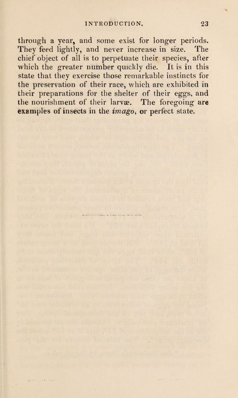 through a year, and some exist for longer periods. They feed lightly, and never increase in size. The chief object of all is to perpetuate their species, after which the greater number quickly die. It is in this state that they exercise those remarkable instincts for the preservation of their race, which are exhibited in their preparations for the shelter of their eggs, and the nourishment of their larvae. The foregoing are