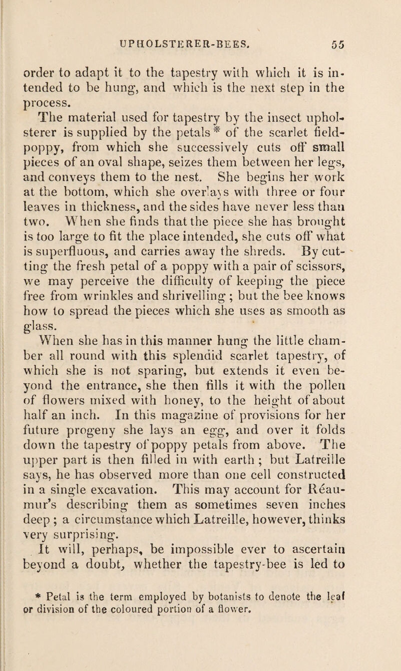 order to adapt it to the tapestry with which it is in¬ tended to be hung, and which is the next step in the process. The material used for tapestry by the insect uphol¬ sterer is supplied by the petals * of the scarlet iield- poppy, from which she successively cuts off small pieces of an oval shape, seizes them between her legs, and conveys them to the nest. She begins her work at the bottom, which she overla\s with three or four leaves in thickness, and the sides have never less than two. When she finds that the piece she has brought is too large to fit the place intended, she cuts off' what is superfluous, and carries away the shreds. By cut- ' ting the fresh petal of a poppy with a pair of scissors, we may perceive the difficulty of keeping the piece free from wrinkles and shrivelling ; but the bee knows how to spread the pieces which she uses as smooth as glass. When she has in this manner hung the little cham¬ ber all round with this splendid scarlet tapestry, of which she is not sparing, but extends it even be¬ yond the entrance, she then fills it with the pollen of flowers mixed with honey, to the height of about half an inch. In this magazine of provisions for her future progeny she lays an egg, and over it folds down the tapestry of poppy petals from above. The upper part is then filled in with earth ; but Latreille says, he has observed more than one cell constructed in a single excavation. This may account for Reau¬ mur’s describin'^ them as sometimes seven inches deep ; a circumstance which Latreille, however, thinks very surprising. It will, perhaps, be impossible ever to ascertain beyond a doubt, whether the tapestry-bee is led to * Petal is the term employed by botanists to denote the leaf or division of the coloured portion of a flower.