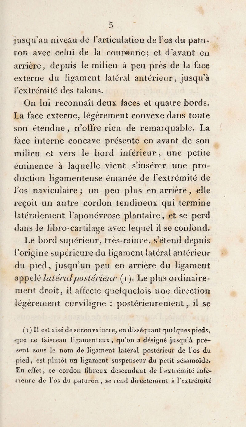 O jusqu’au niveau de l’articulation de Fos du patu¬ ron avec celui de la couronne; et d’avant en arrière, depuis le milieu à peu près de la face externe du ligament latéral antérieur, jusqu’à l’extrémité des talons. On lui reconnaît deux faces et quatre bords. La face externe, légèrement convexe dans toute son étendue, n’offre rien de remarquable. La face interne concave présente en avant de son milieu et vers le bord inférieur, une petite éminence à laquelle vient s’insérer une pro¬ duction ligamenteuse émanée de l’extrémité de l’os navicuiaire ; un peu plus en arrière, elle reçoit un autre cordon tendineux qui termine latéralement l’aponévrose plantaire, et se perd dans le fibro-cartiîage avec lequel il se confond. Le bord supérieur, très-mince, s’étend depuis l’origine supérieure du ligament latéral antérieur du pied, jusqu’il!! peu en arrière du ligament appelé latéral postérieur (t ). Le plus ordinaire¬ ment droit, il affecte quelquefois une direction légèrement curviligne : postérieurement 7 il se (ï) Il est nisé de seconvaincre, en disséquant quelques pieds, <jue ce faisceau ligamenteux, qu'on a désigné jusqu'à pré- sent sous le nom de ligament latéral postérieur de l’os du pied, est plutôt un ligament suspenseur du petit sésamoïde. En effet, ce cordon fibreux descendant de F extrémité infé¬ rieure de l’os du paturon, se rend directement à l'extrémité