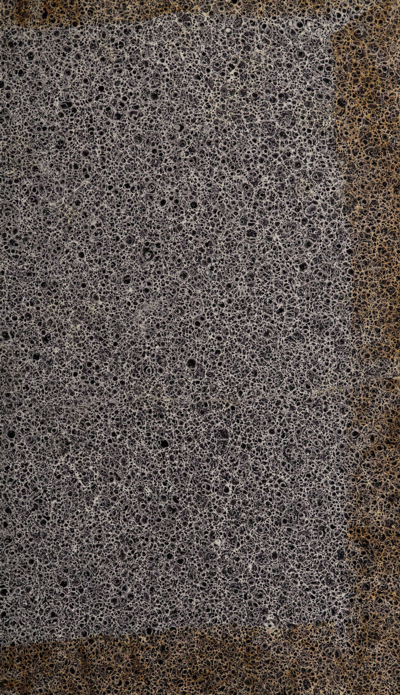 Æfm Wm Ifeg Wmmm g|jj||$ wM ms&mW. 4/Ài ïv* 'v^'.«4-W' ^awai» 5#fci4f'B8c* !iCW8ftS£ eæsKSfl mmsM &WW MMfeSKM#* ÉiÉpiHi !® *»Tfc < p?*i!Lp2 ïÉgm< MM mmfp iîW^'WftW »P âfejÊlÉi M tæKXS; lÉPPlSÿlPi fanpÉ !m^M«!^S.^âètÆÊk ■■?&&& $wÊm *£# kWÊSÊ, *£. ? £ **?*♦#& i «LiawSüw 6l»»fæ Mfe&Sâas? » ;ïM4fe gffKfSnjSgHH tel mdw