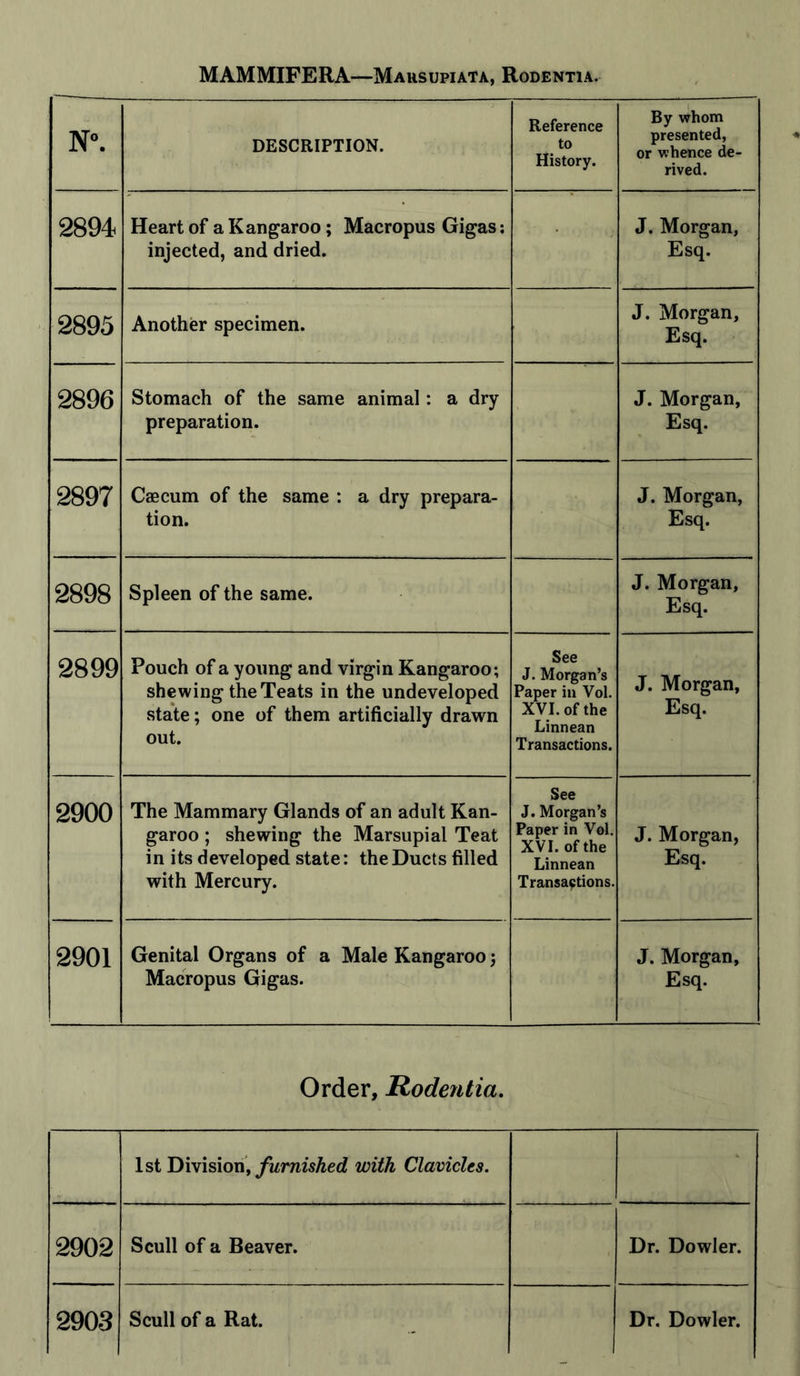 MAMMIFERA—Mausupiata, Rodentia. N°. DESCRIPTION. Reference to History. By whom presented, or whence de- rived. 2894. Heart of a Kangaroo; Macropus Gigas; injected, and dried. J. Morgan, Esq. 2895 Another specimen. J. Morgan, Esq. 2896 Stomach of the same animal: a dry preparation. J. Morgan, Esq. 2897 Caecum of the same : a dry prepara- tion. J. Morgan, Esq. 2898 Spleen of the same. J. Morgan, Esq. 2899 Pouch of a young and virgin Kangaroo; shewing the Teats in the undeveloped state; one of them artificially drawn out. See J. Morgan’s Paper in Vol. XVI. of the Linnean Transactions. J. Morgan, Esq. 2900 The Mammary Glands of an adult Kan- garoo ; shewing the Marsupial Teat in its developed state: the Ducts filled with Mercury. See J. Morgan’s Paper in Vol. XVI. of the Linnean Transactions. J. Morgan, Esq. 2901 Genital Organs of a Male Kangaroo j Macropus Gigas. J. Morgan, Esq. Order, Rodentia. 1st Division, furnished with Clavicles. 2902 Scull of a Beaver. Dr. Dowler.