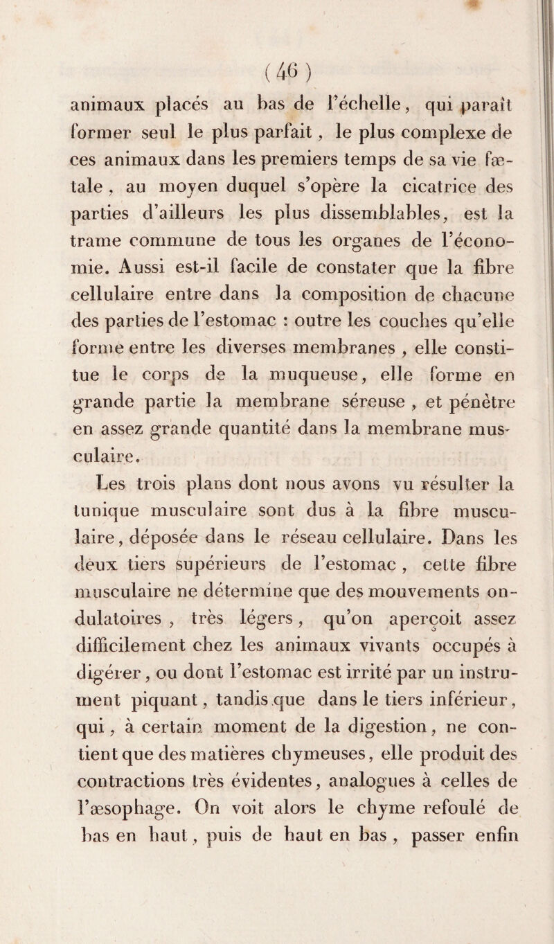 (4(3) animaux placés au bas de l’échelle, qui paraît former seul le plus parfait, le plus complexe de ces animaux dans les premiers temps de sa vie fæ- tale , au moyen duquel s’opère la cicatrice des parties d’ailleurs les plus dissemblables, est la trame commune de tous les organes de l’écono¬ mie. Aussi est-il facile de constater que la fibre cellulaire entre dans la composition de chacune des parties de l’estomac : outre les couches qu’elle forme entre les diverses membranes , elle consti¬ tue le corps de la muqueuse, elle forme en grande partie la membrane séreuse , et pénètre en assez grande quantité dans la membrane mus¬ culaire. Les trois plans dont nous avons vu résulter la tunique musculaire sont dus à la fibre muscu¬ laire, déposée dans le réseau cellulaire. Dans les deux tiers supérieurs de l’estomac , cette fibre musculaire ne détermine que des mouvements on¬ dulatoires , très légers, qu’on aperçoit assez difficilement chez les animaux vivants occupés à digérer, ou dont l’estomac est irrité par un instru¬ ment piquant, tandis ,c|ue dans le tiers inférieur, qui, à certain moment de la digestion, ne con¬ tient que des matières chymeuses, elle produit des contractions très évidentes, analogues à celles de l’æsophage. On voit alors le chyme refoulé de lias en haut, puis de haut en bas , passer enfin
